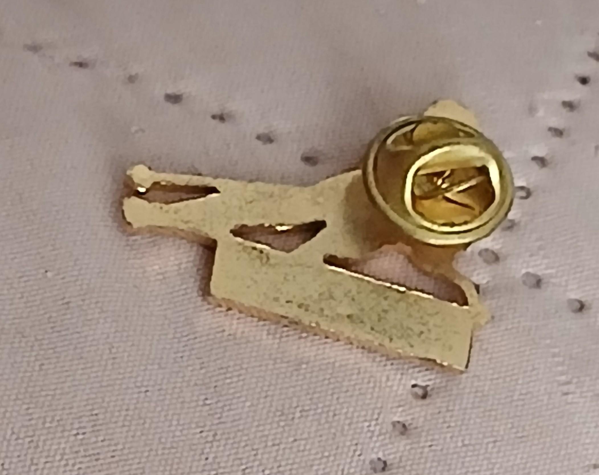 troc de troc un pins image 2