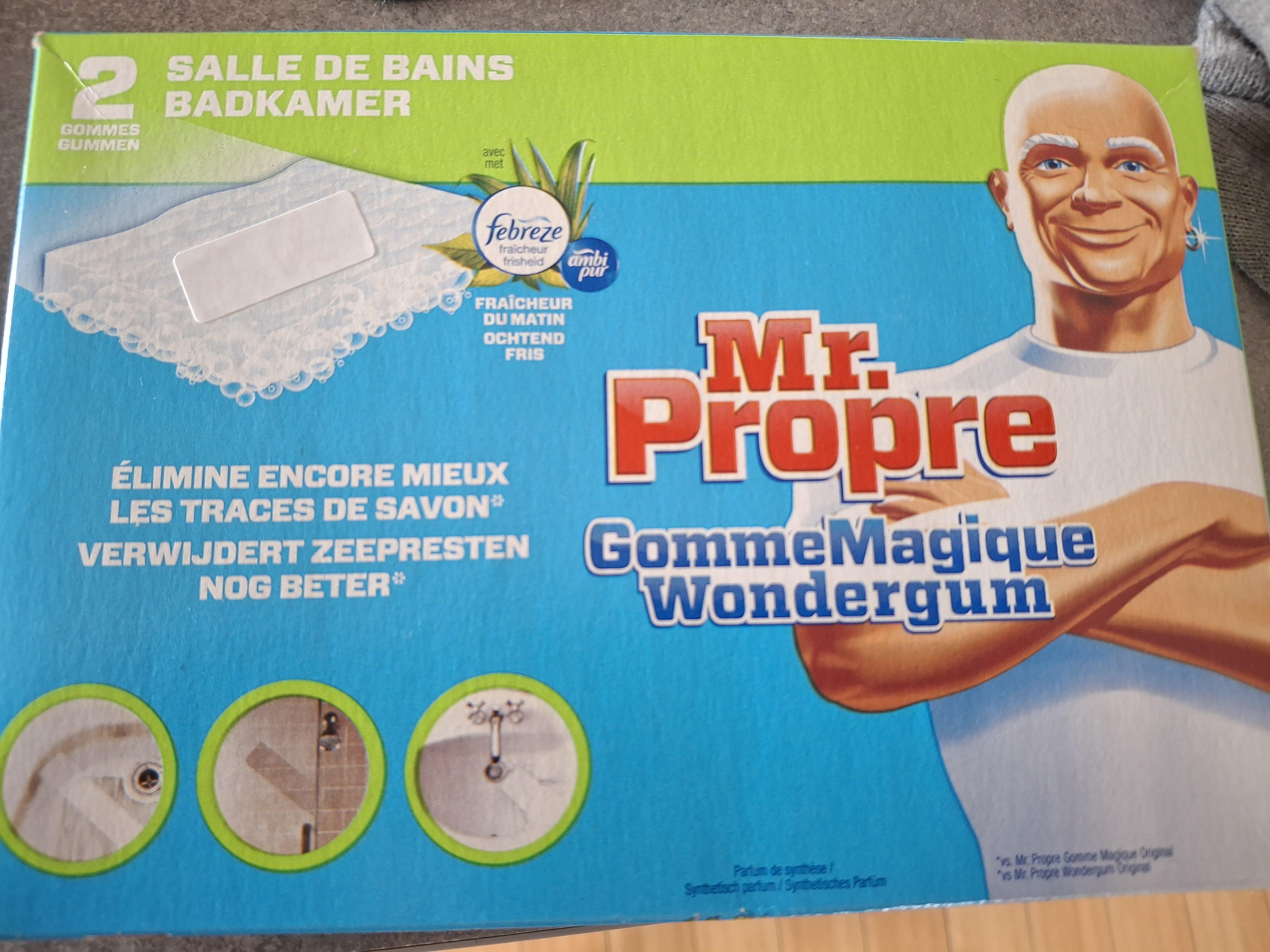 troc de troc Éponges mr propre image 0
