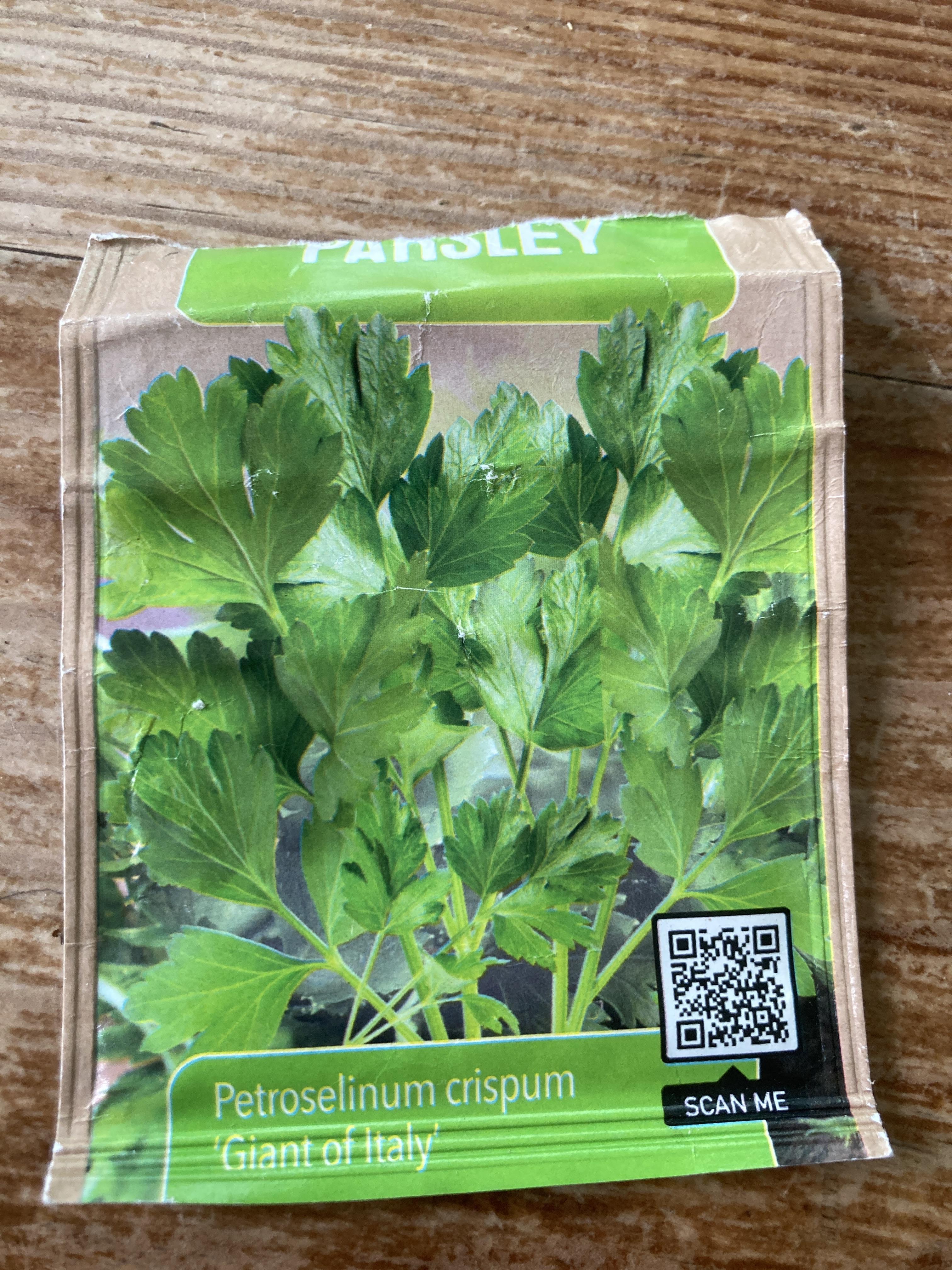 troc de troc graines de persil image 0