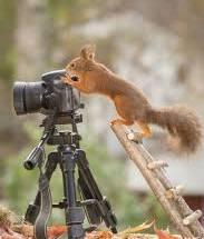 troc de troc chercher polaroid instantané image 0