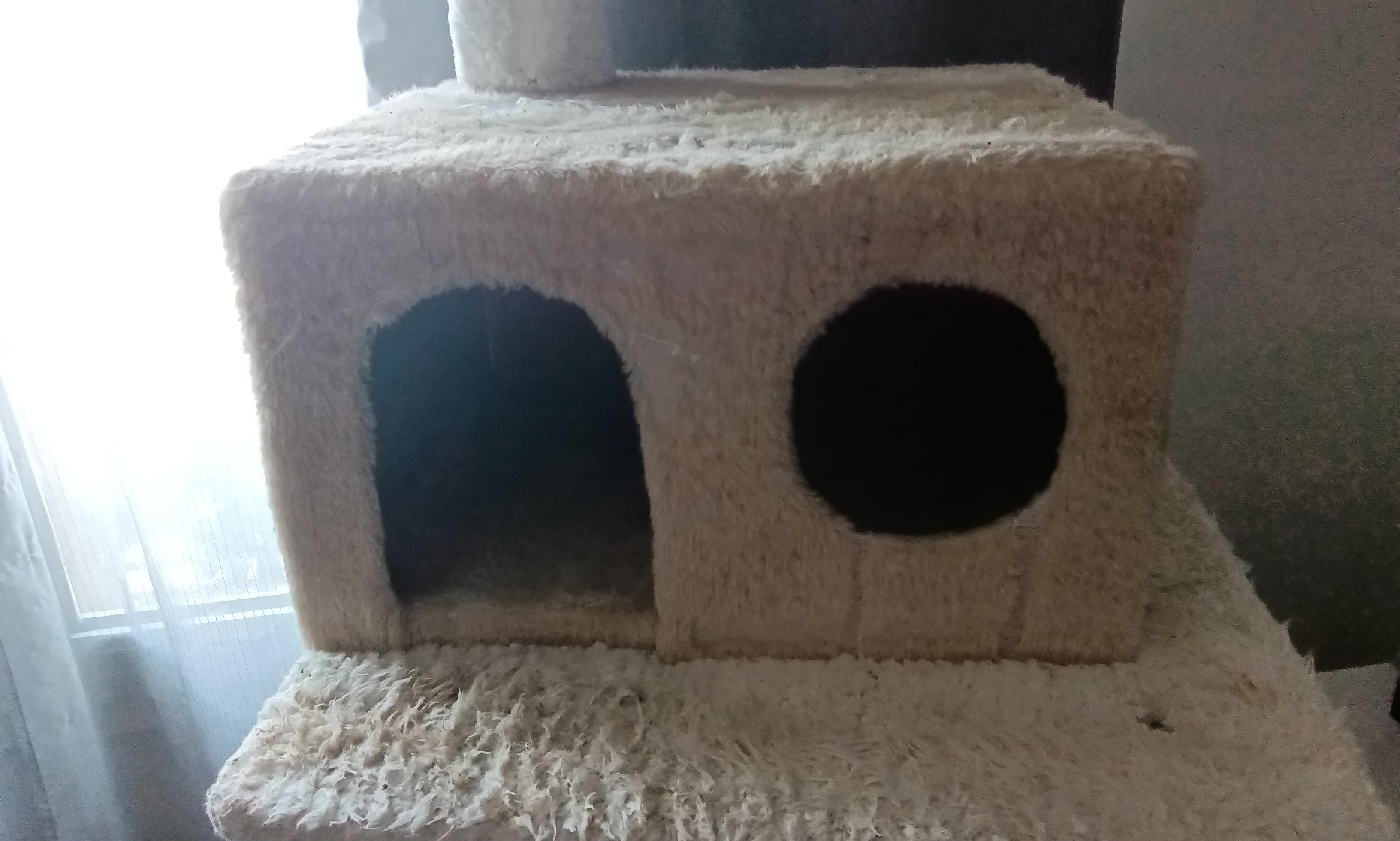 troc de troc grand arbre à chats image 2