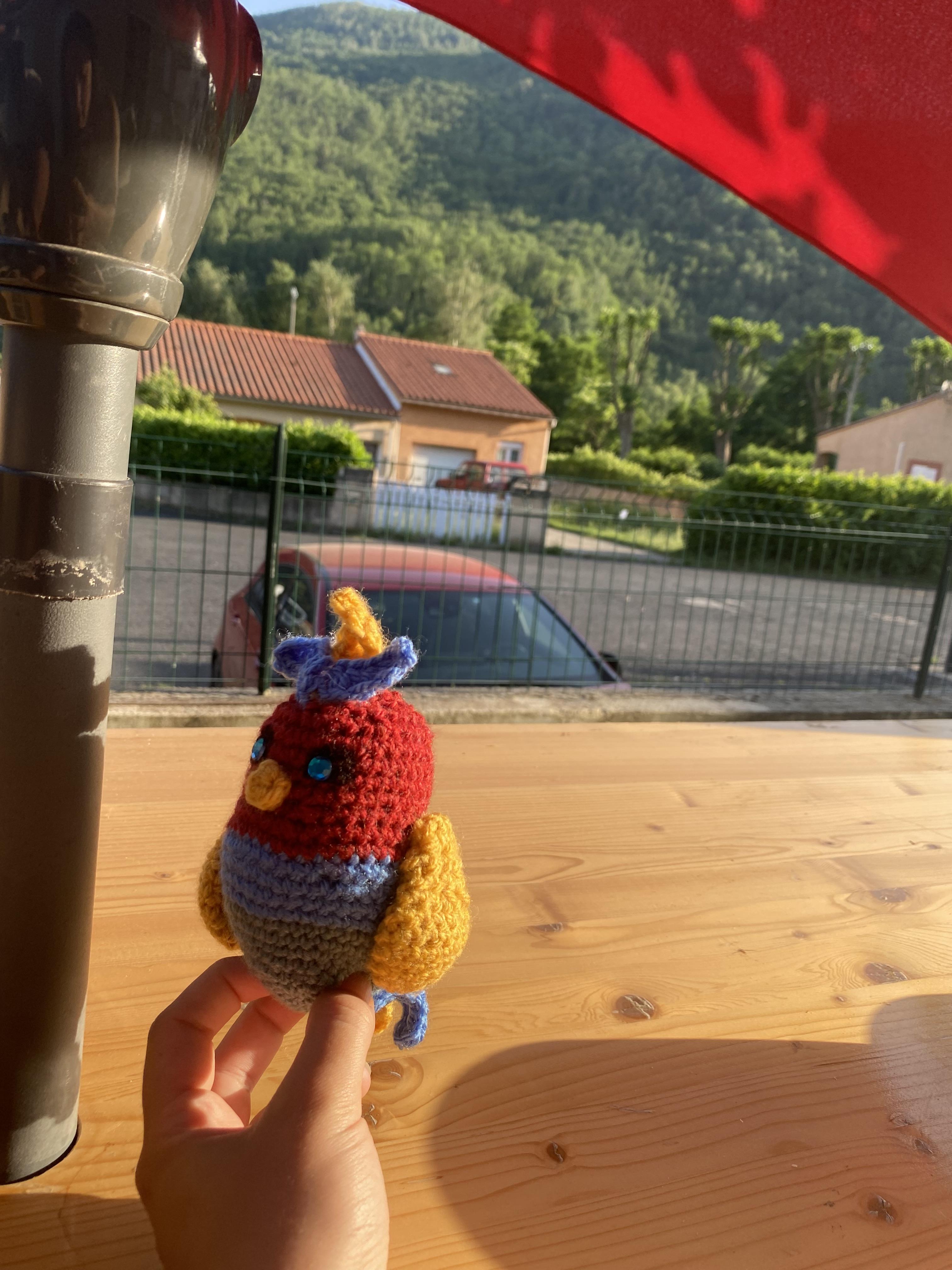 troc de troc perroquet image 0