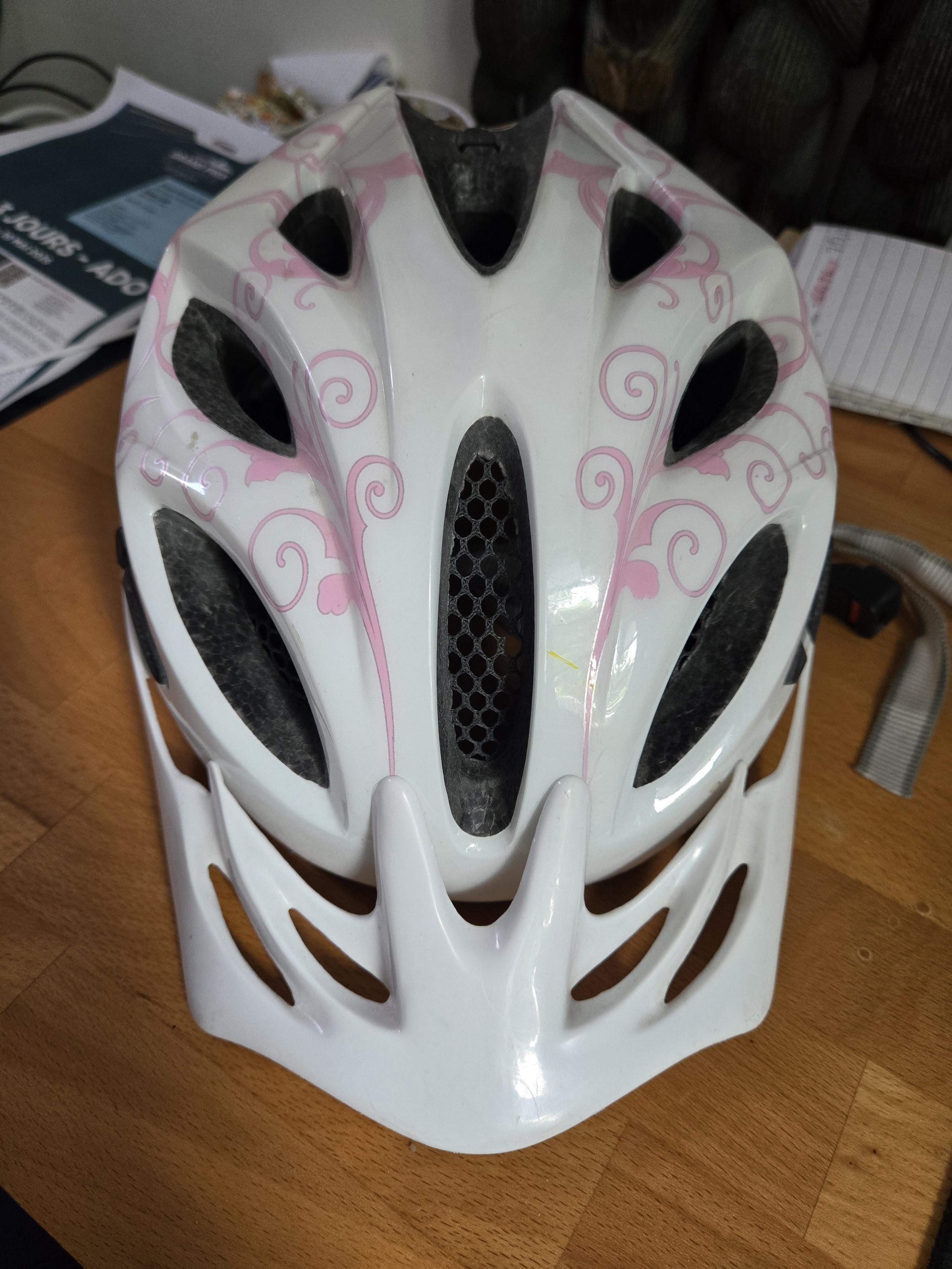 troc de troc casque alpina 50.55 cm image 0