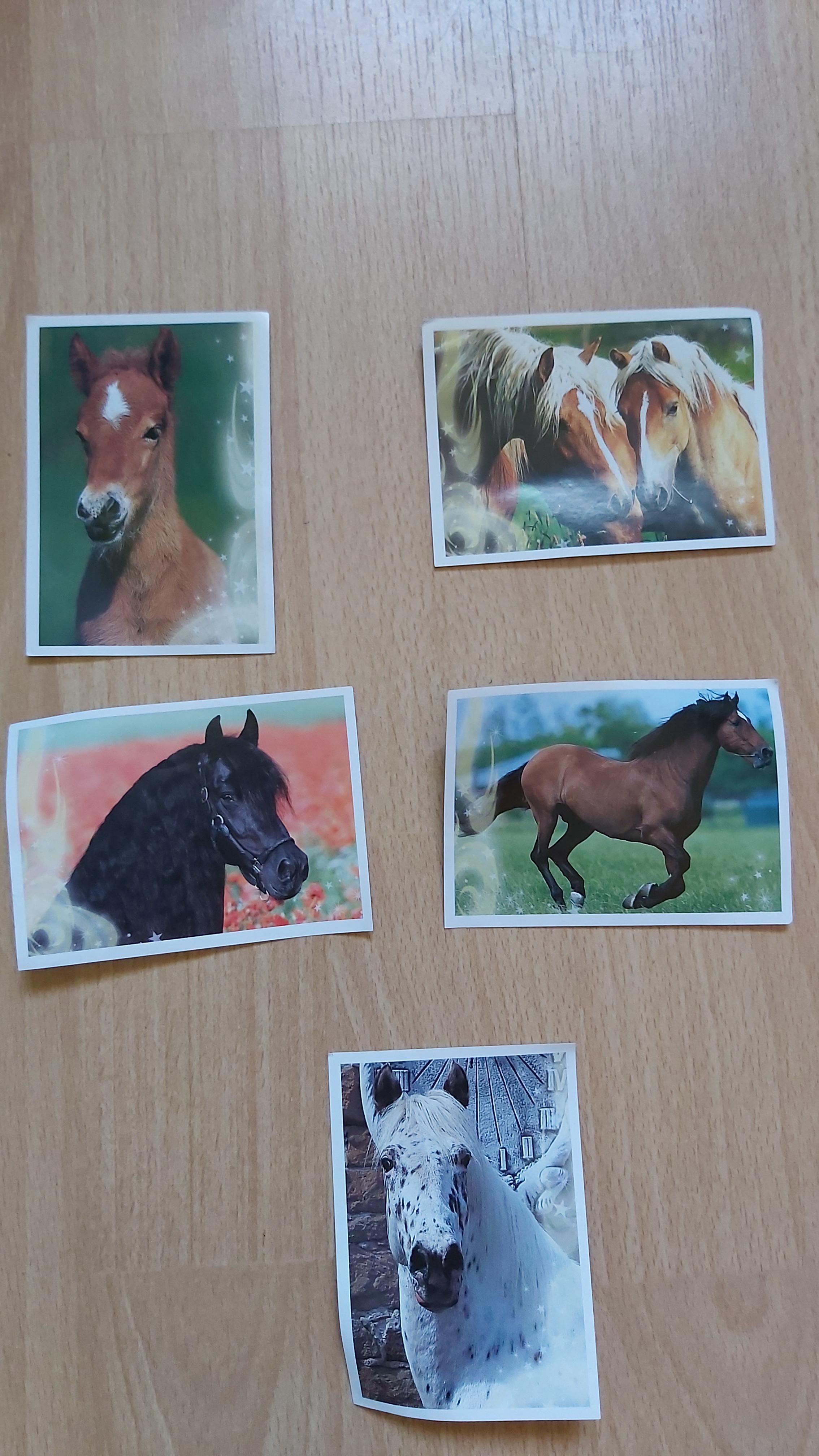 troc de troc stickers thème sur les chevaux image 0