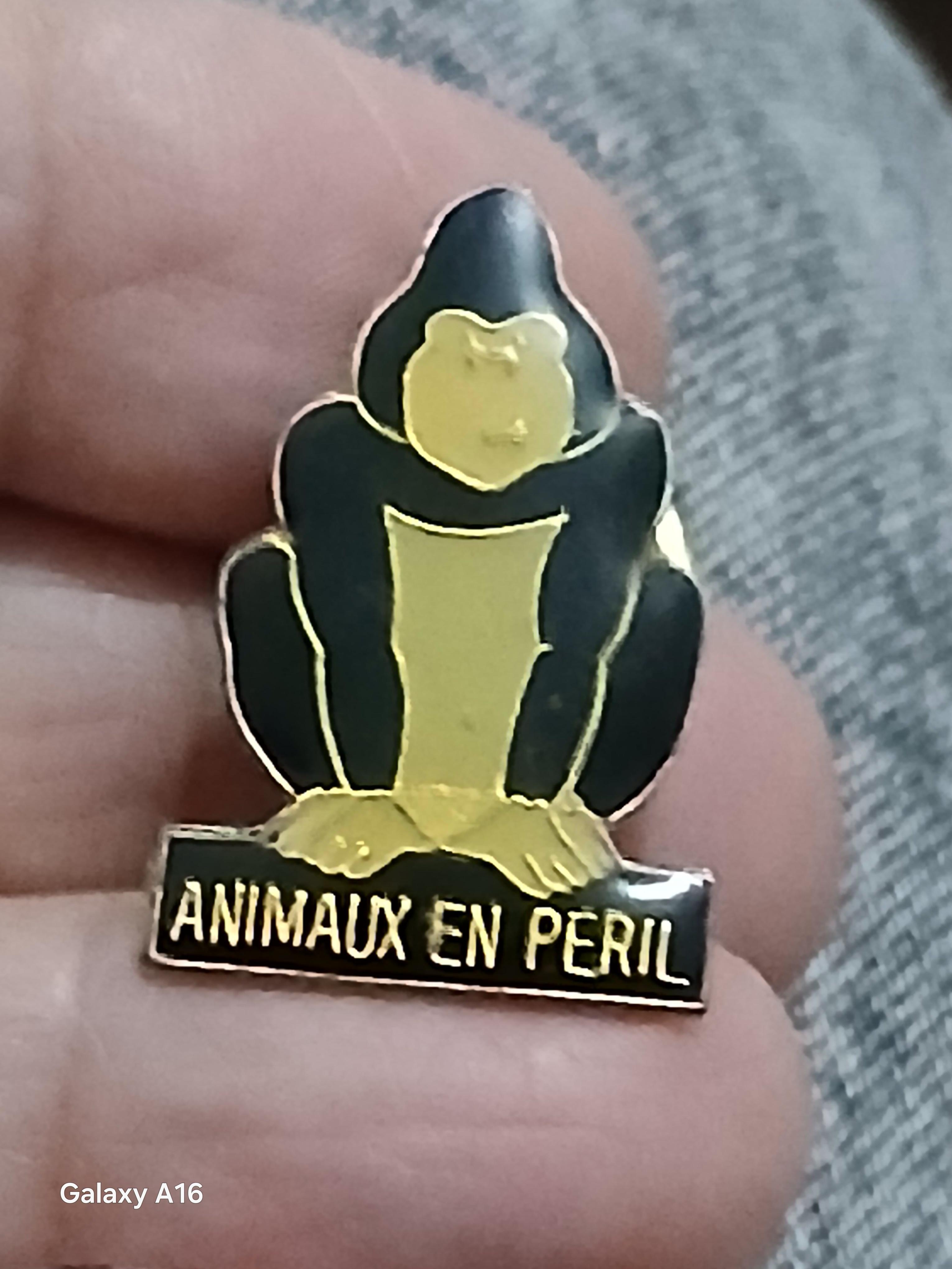 troc de troc un pins image 0