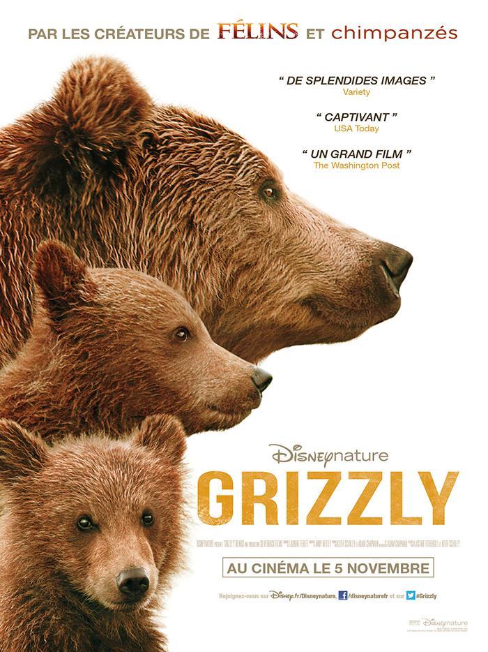 troc de troc bluray grizzly image 0