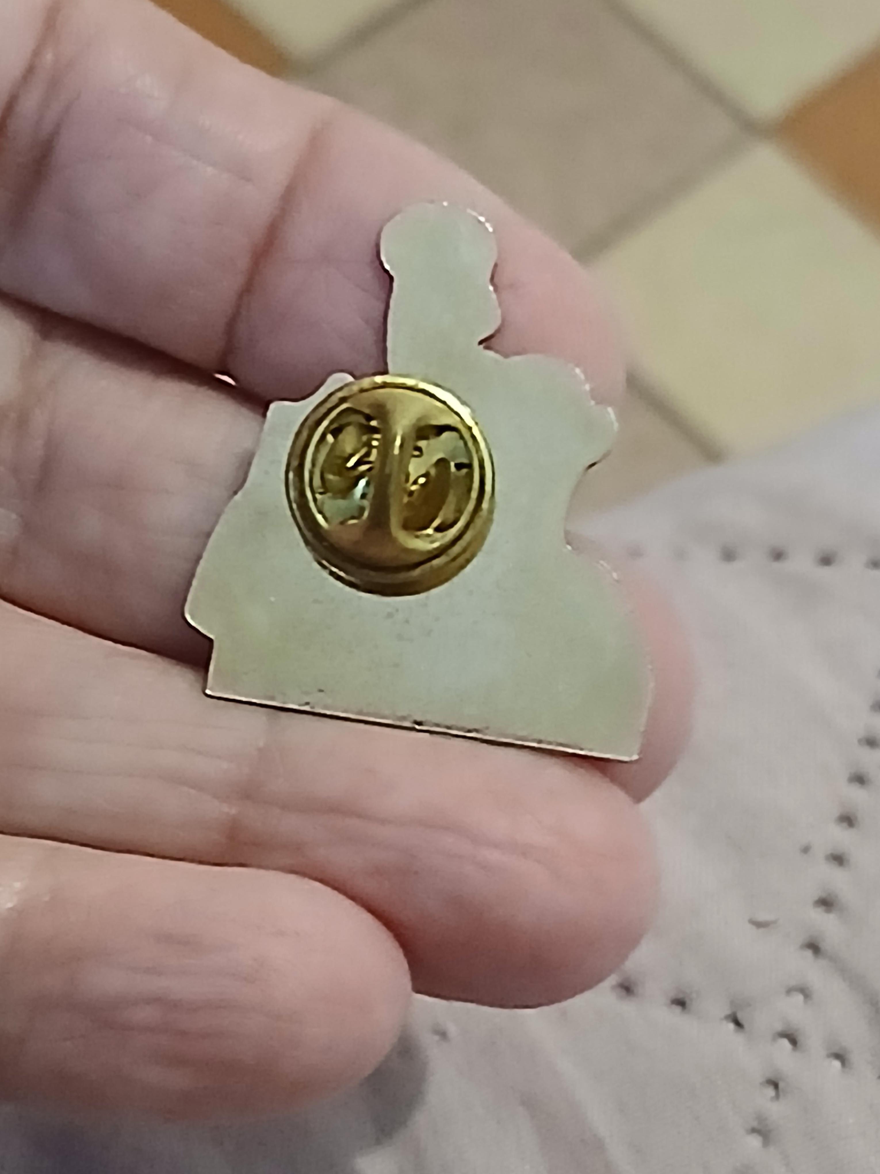 troc de troc un pins image 2