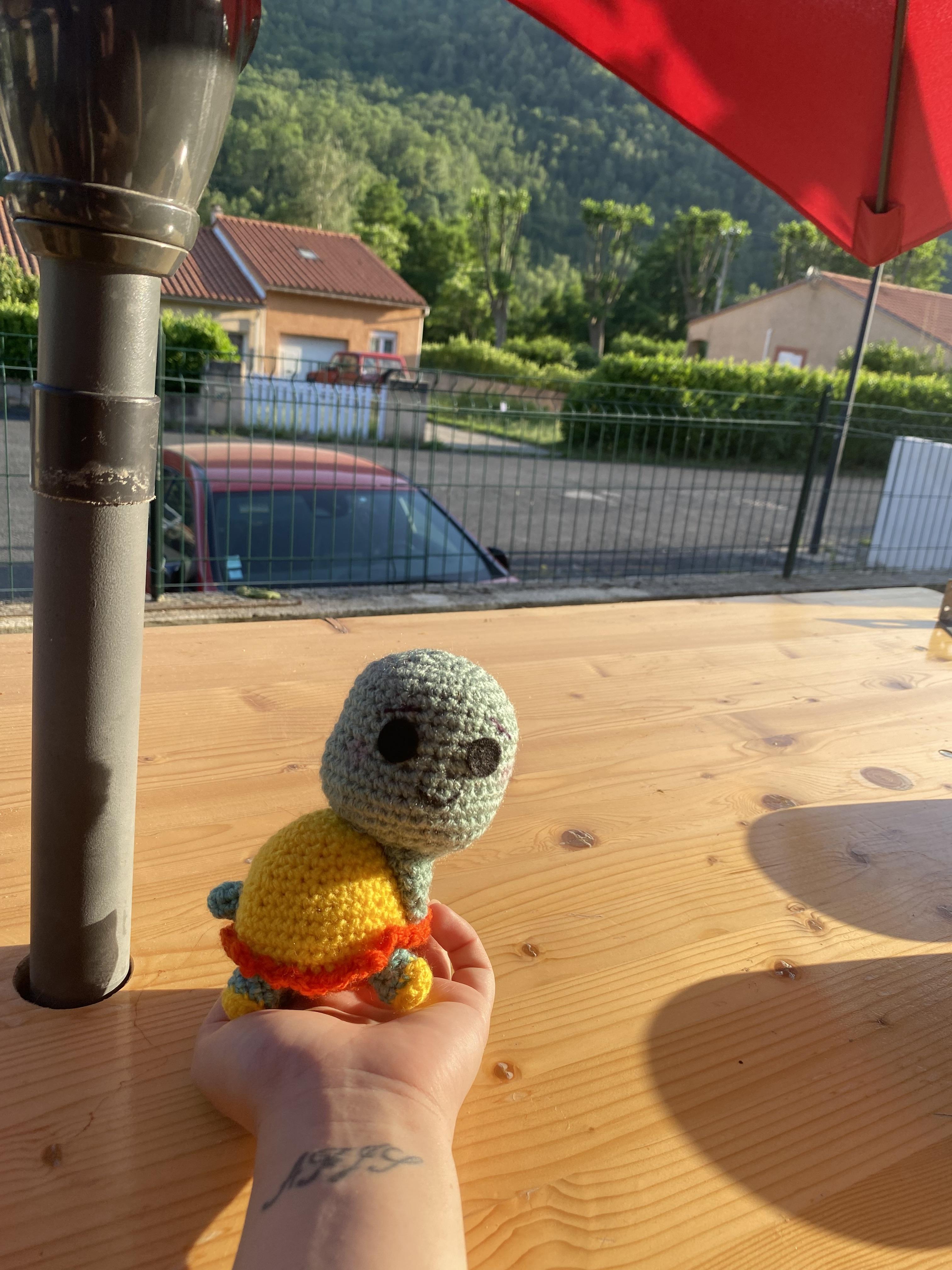 troc de troc tortue en crochet image 0