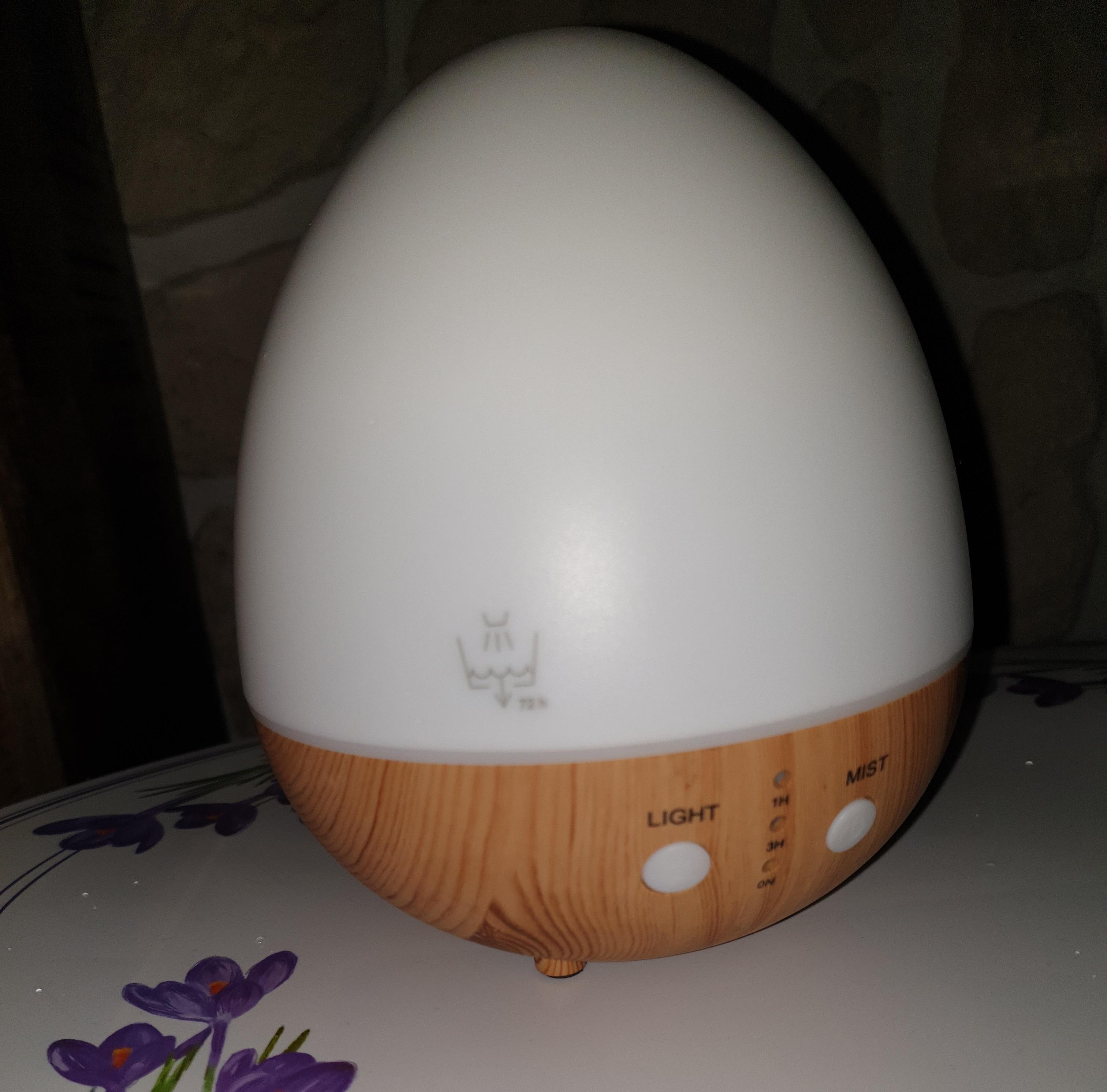 troc de troc diffuseur / brumisateur image 0