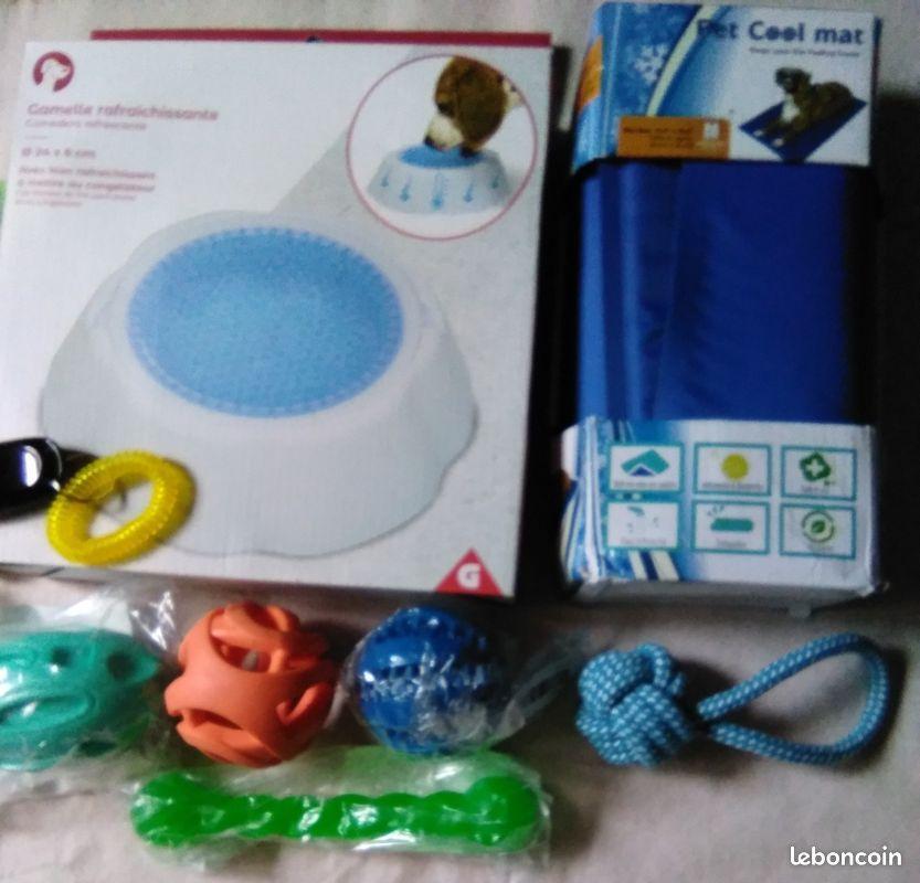 troc de troc lot accessoires, pour chien, neuf image 2