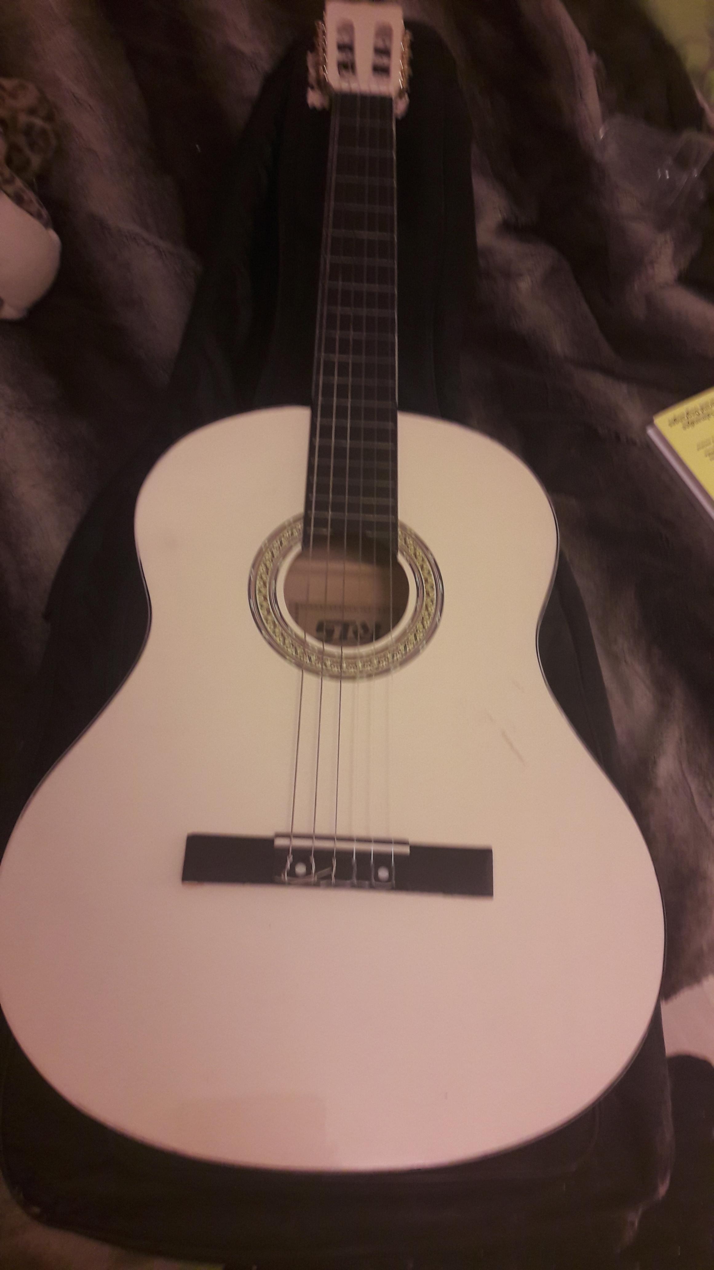 troc de troc guitare et housse image 0