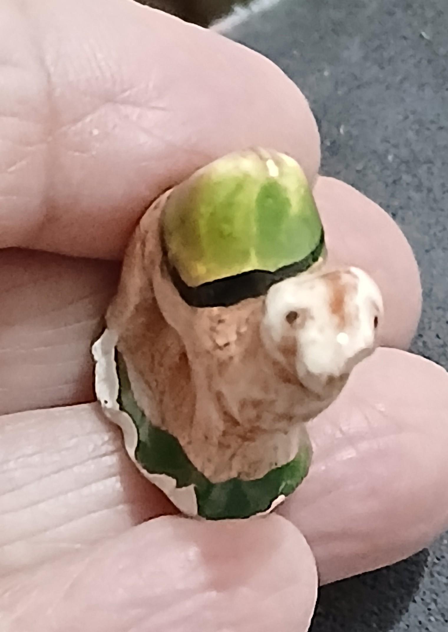 troc de troc une fève image 1