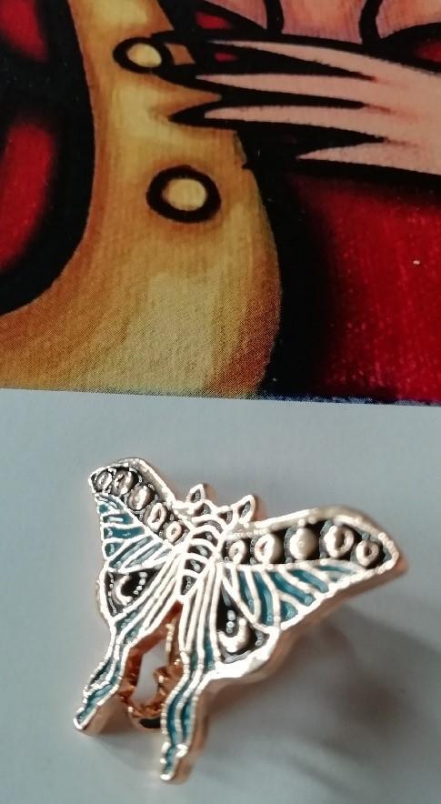 troc de troc broche email cloisonné papillon collection h&co image 2