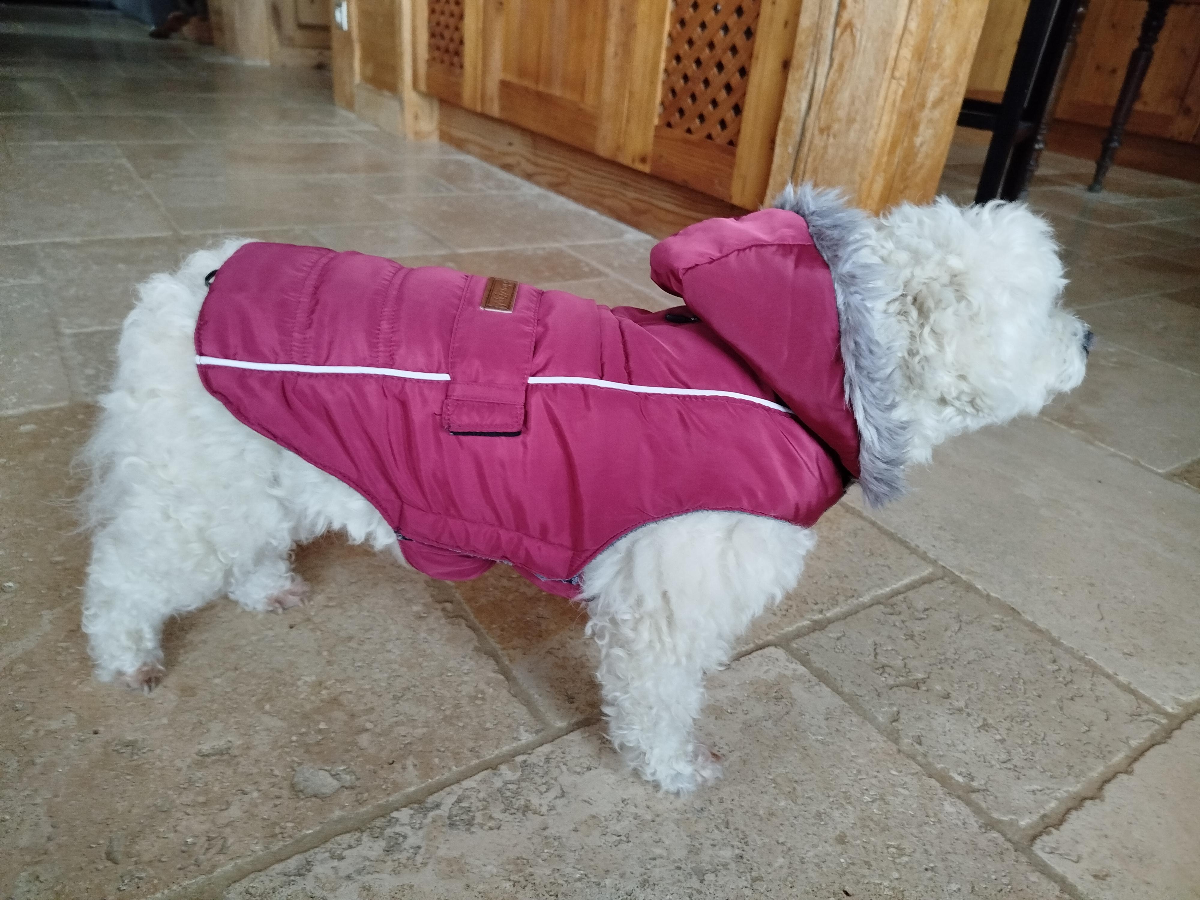 troc de troc manteau hiver image 0