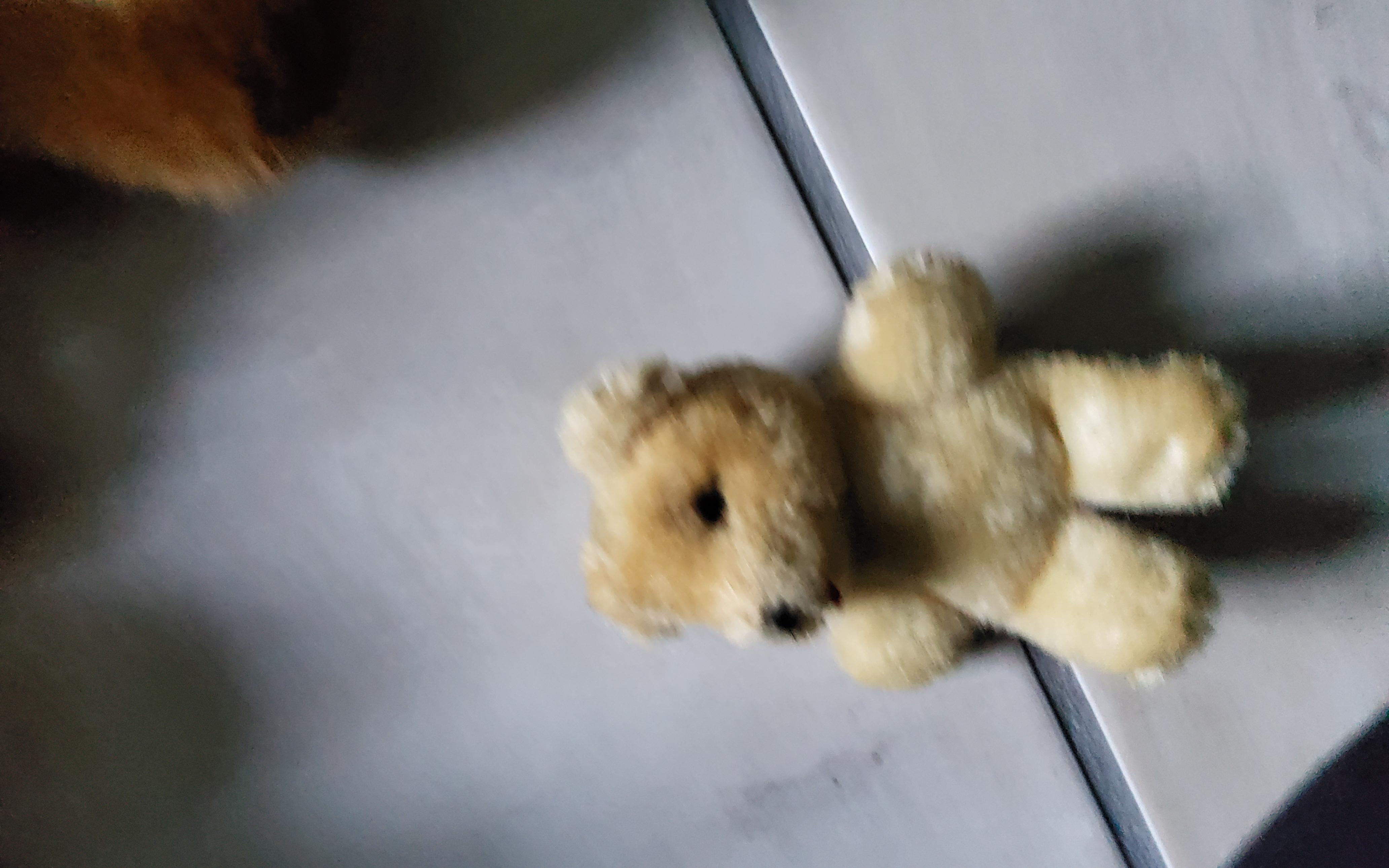 troc de troc 3 petites peluches réservé image 1