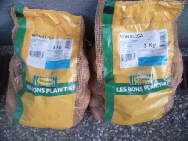 troc de troc plants de pommes de terre image 2