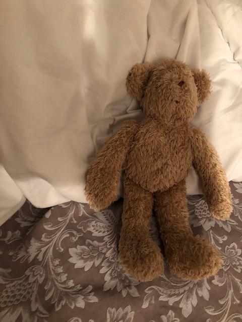 troc de troc nounours du pareil au même 19cm assis image 0