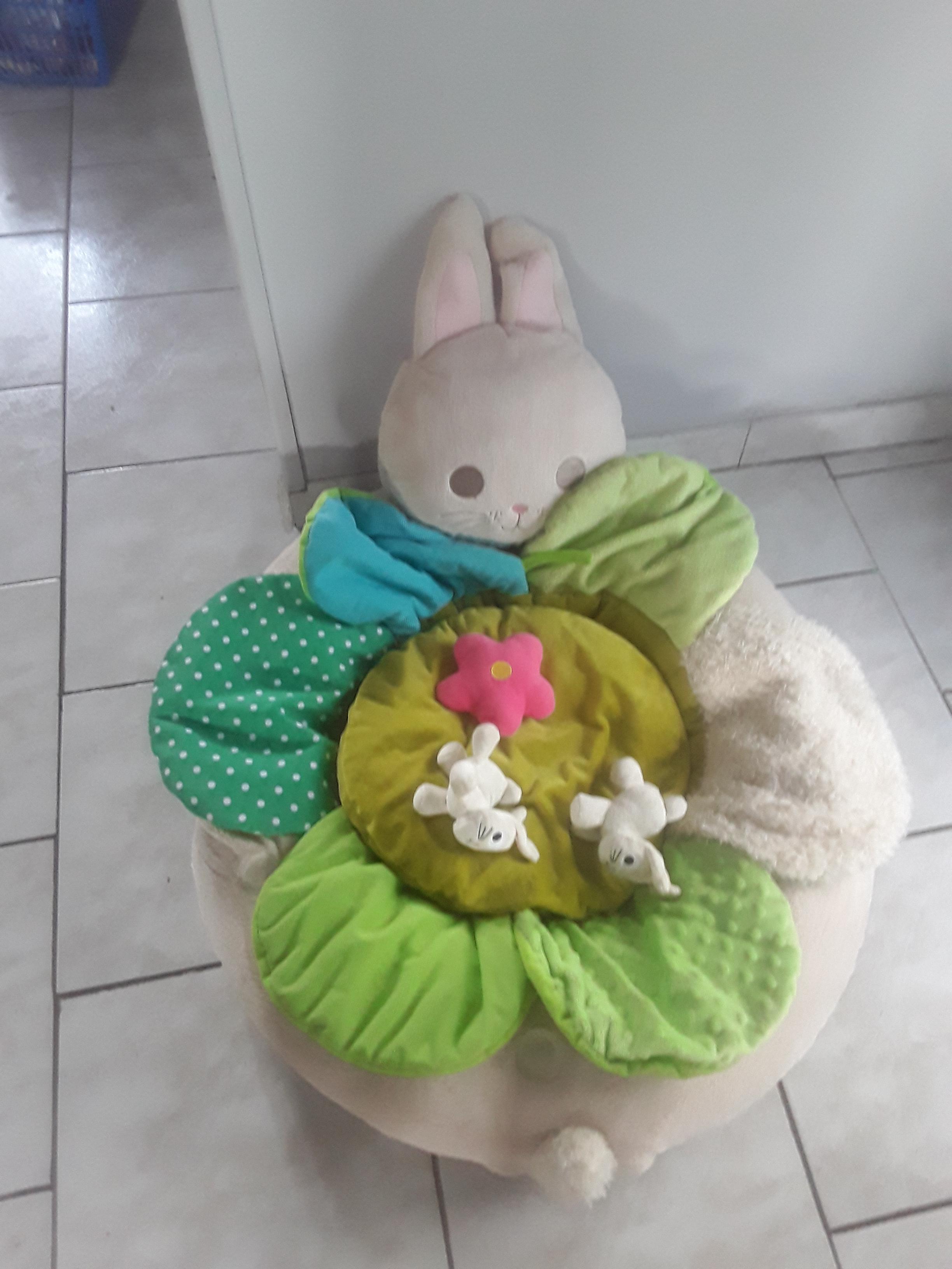 troc de troc lapin oxybull image 0