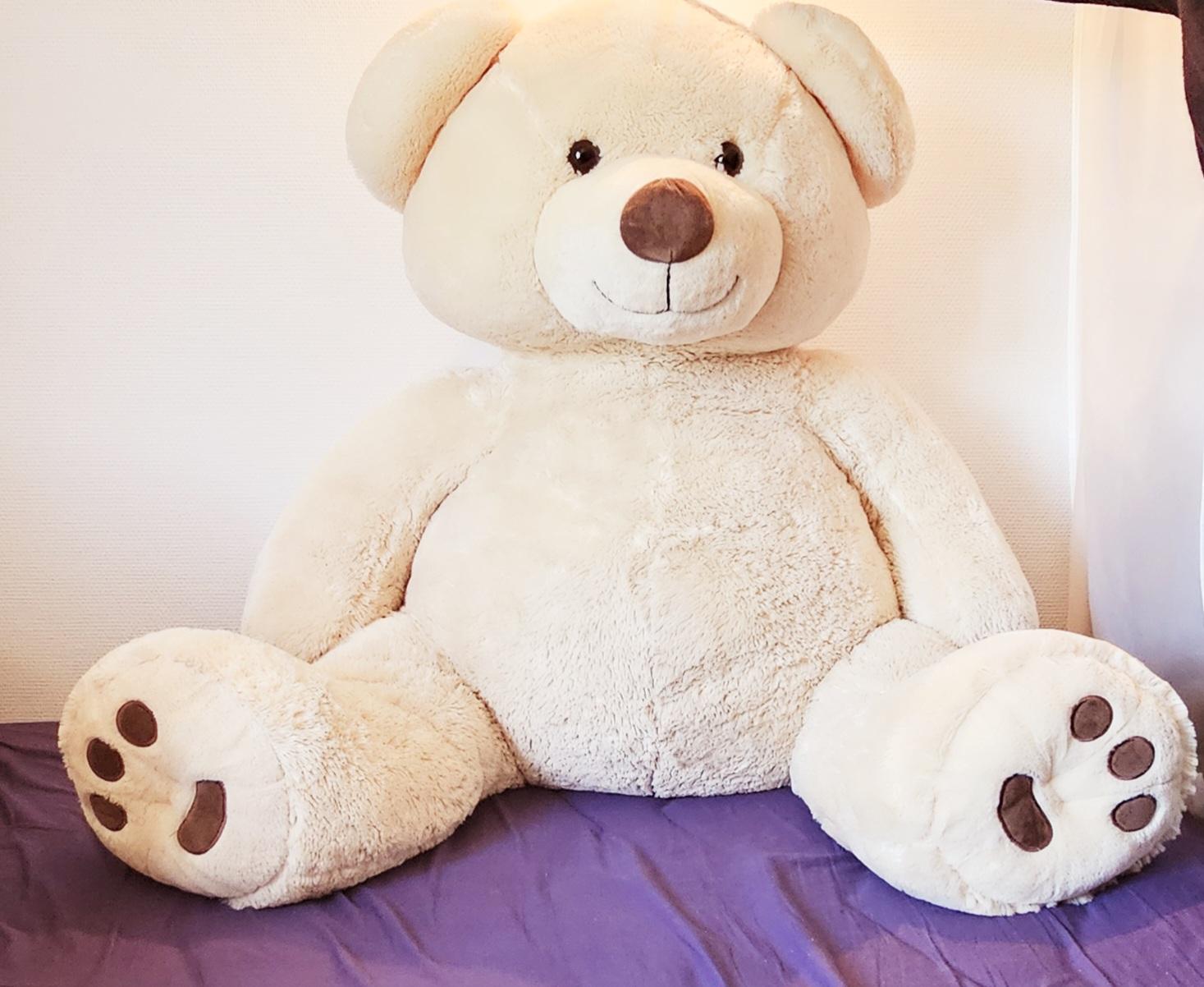 troc de troc maxi ours troc image 0