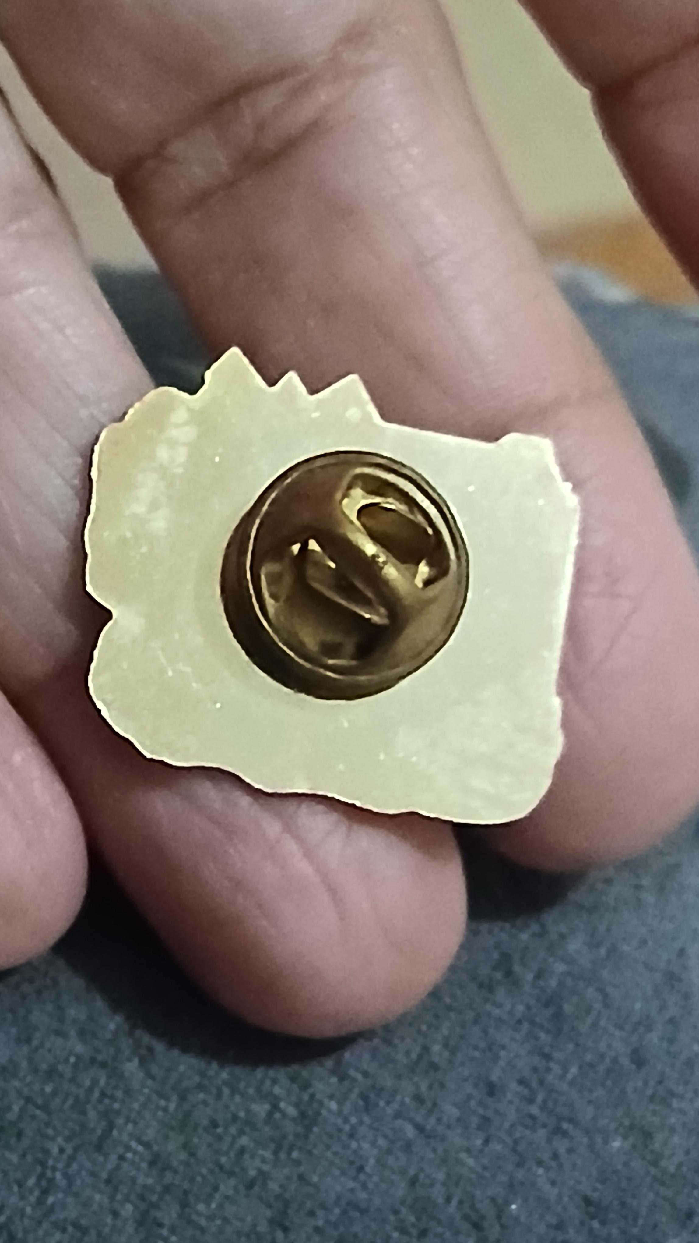 troc de troc un pins image 1