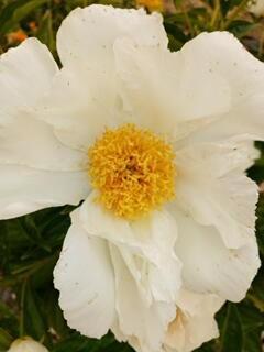 troc de troc bonnes fetes à vous les trocquers ! image 0