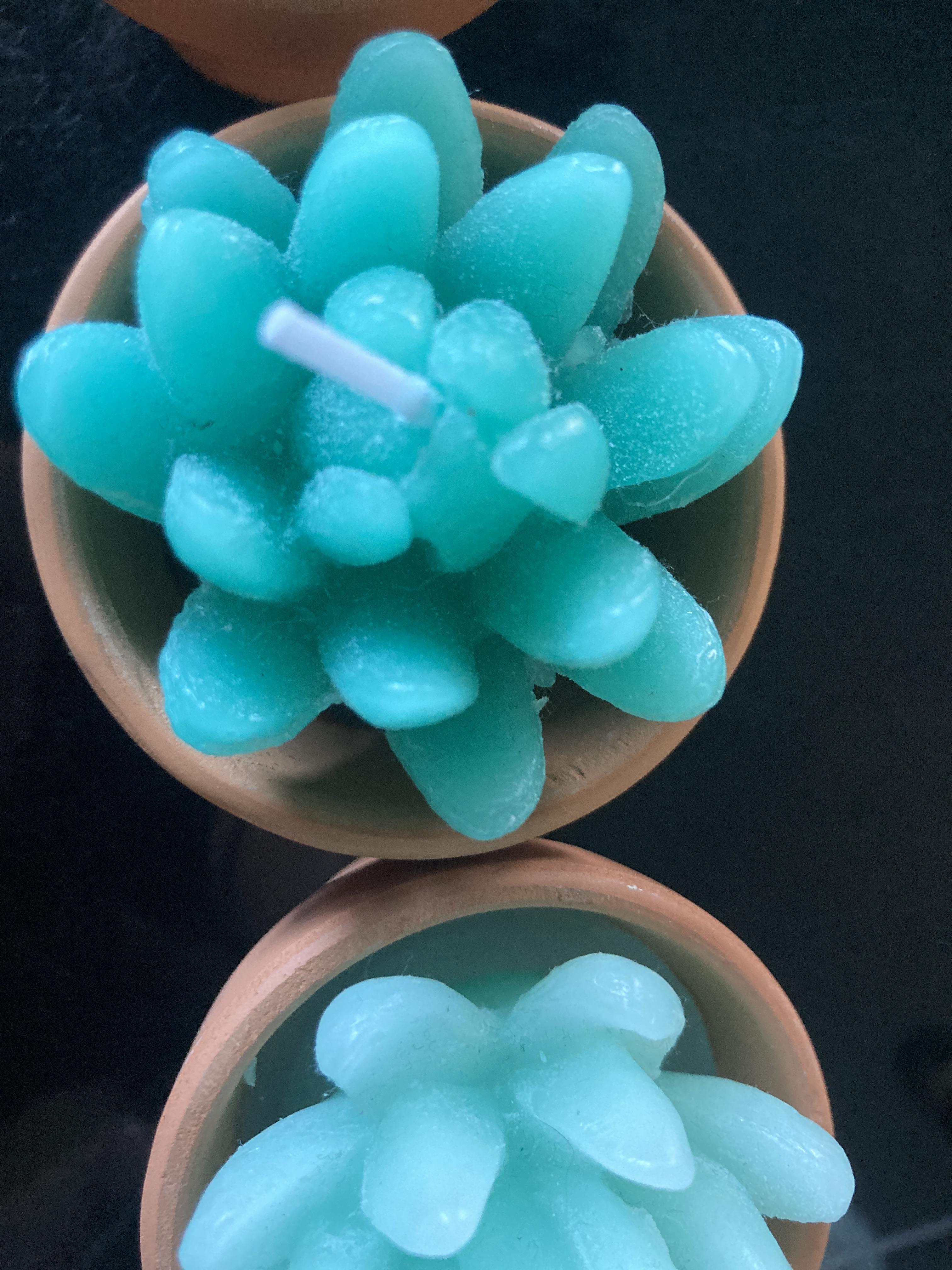 troc de troc lot de 3 bougies neuves image 1