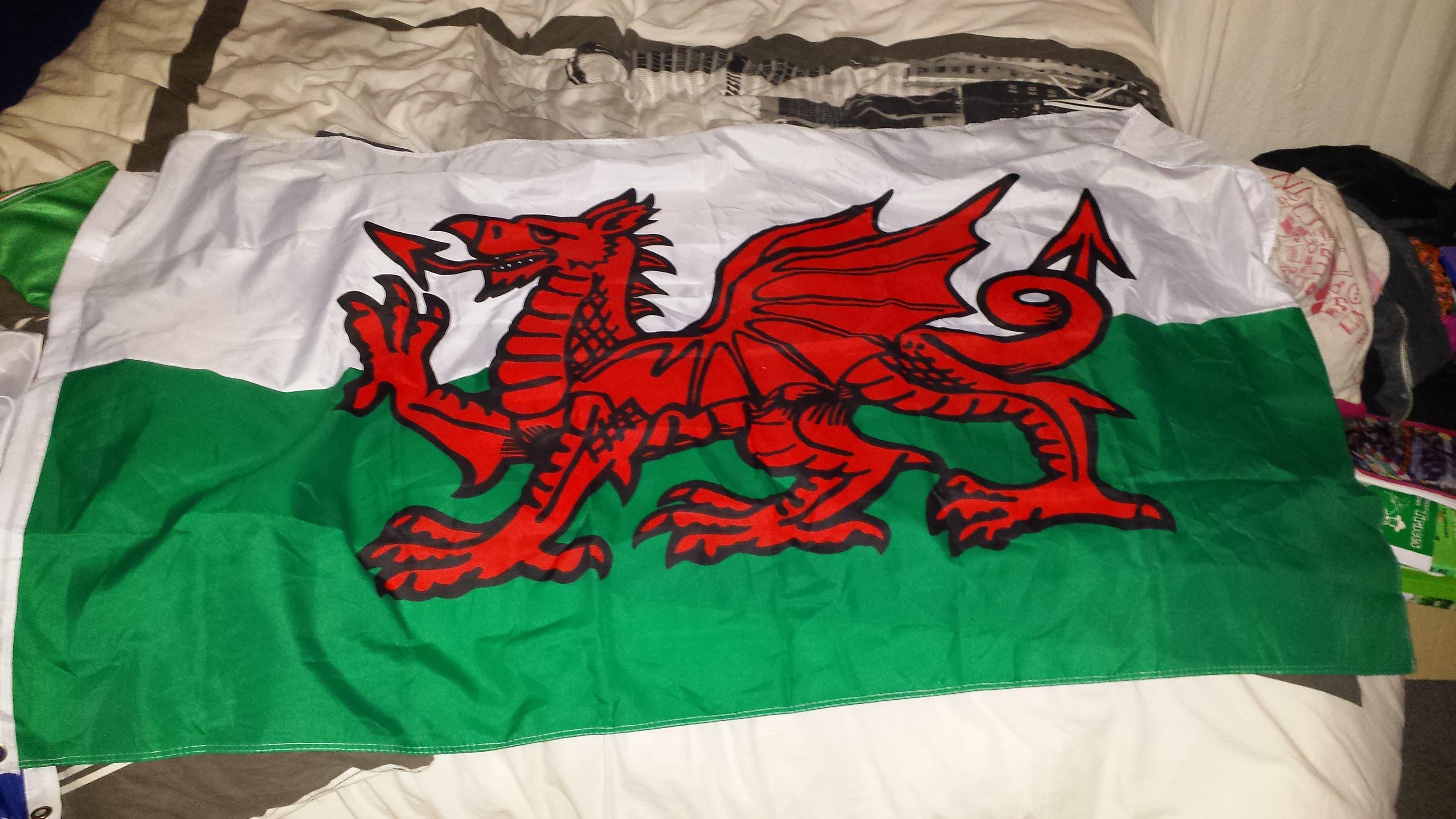 troc de troc drapeaux image 2