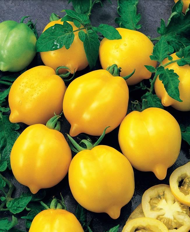 troc de troc 102 - tomate citron graines image 0