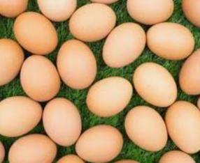 troc de troc oeufs de mes poules image 0