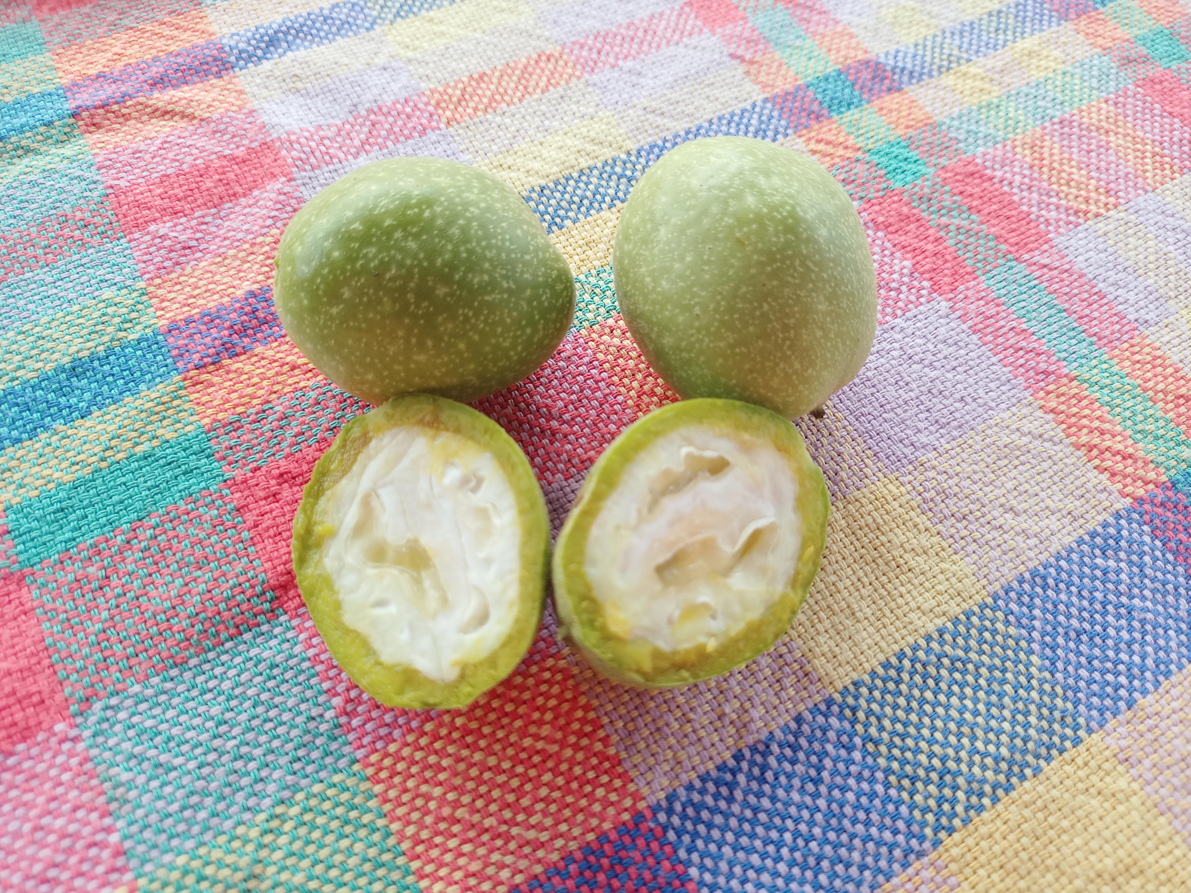 troc de troc noix vertes pour vin de noix image 0