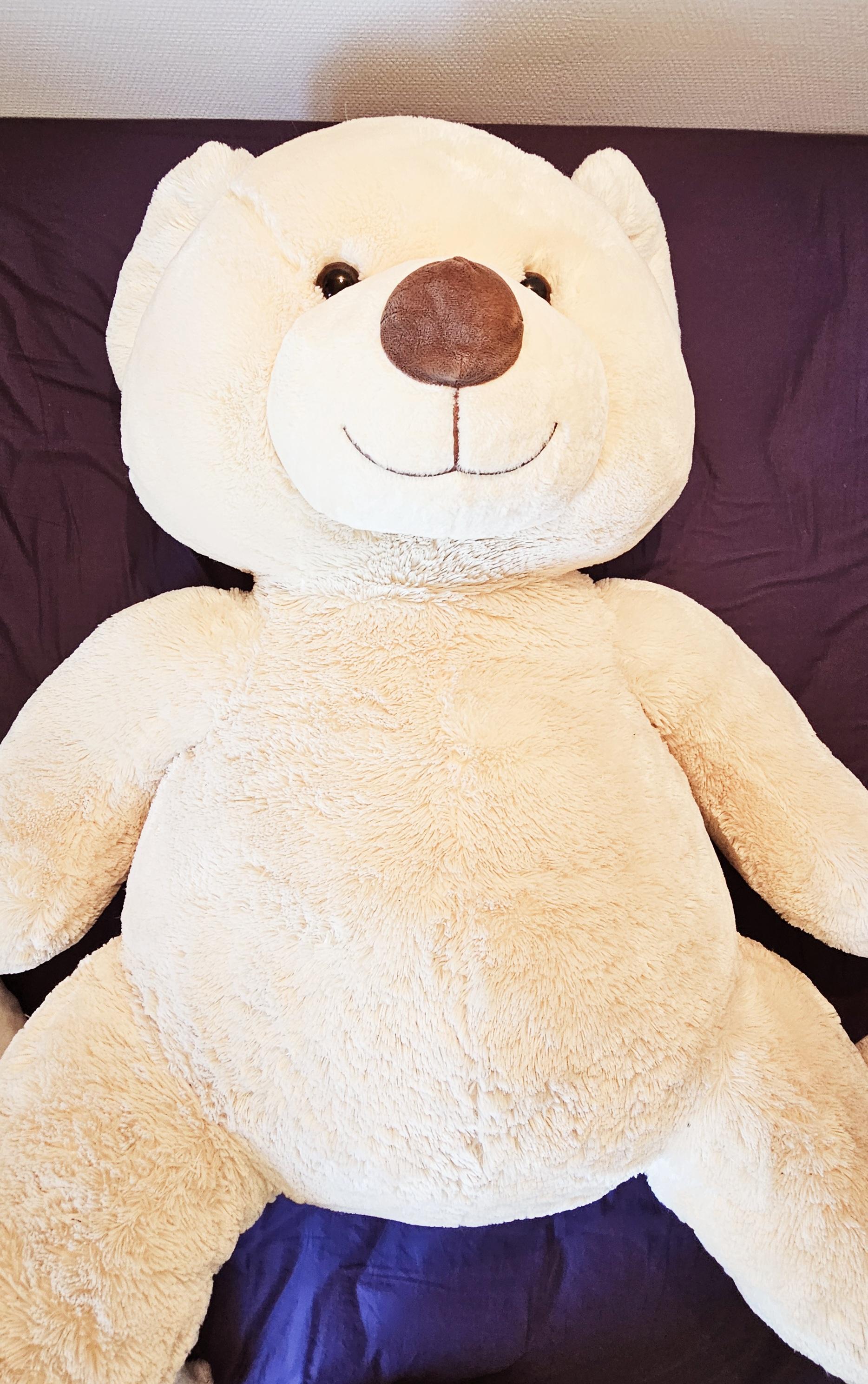 troc de troc maxi ours troc image 2