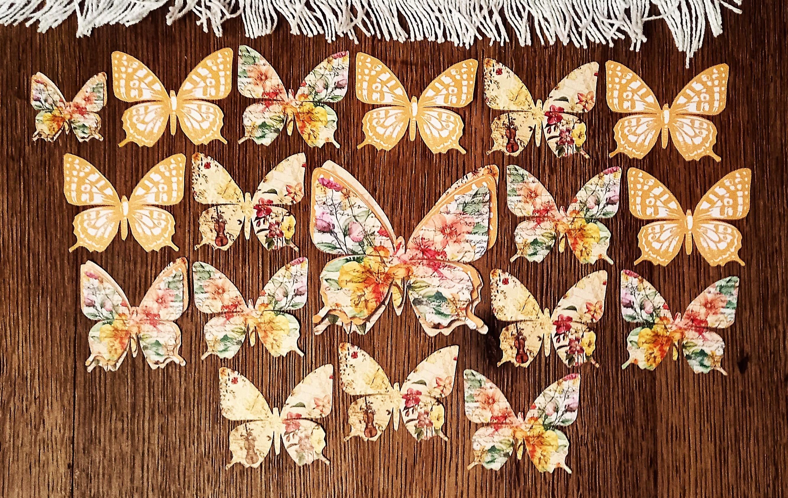 troc de troc papillons. image 0