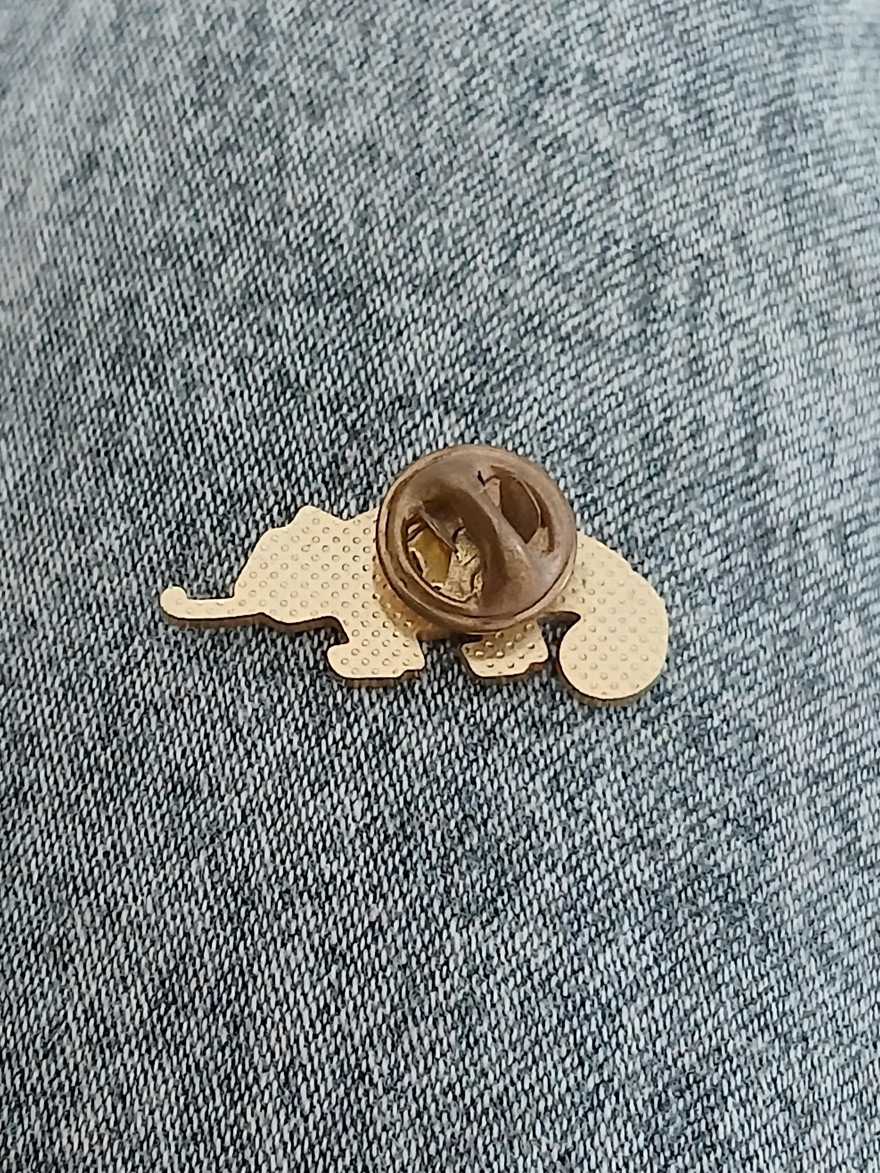 troc de troc un pins image 2