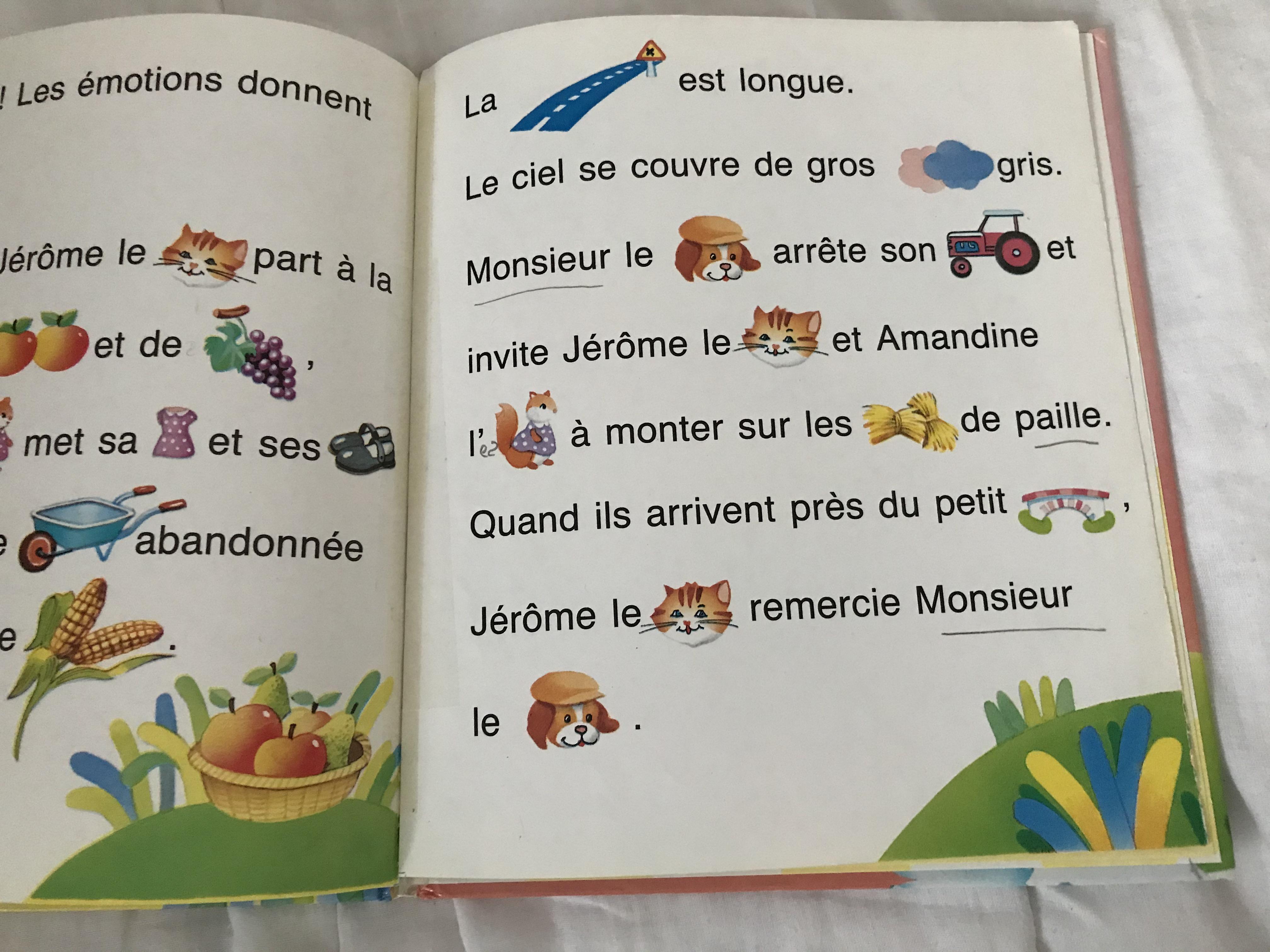 troc de troc je cherche les mots avec ....jérôme le chat image 2