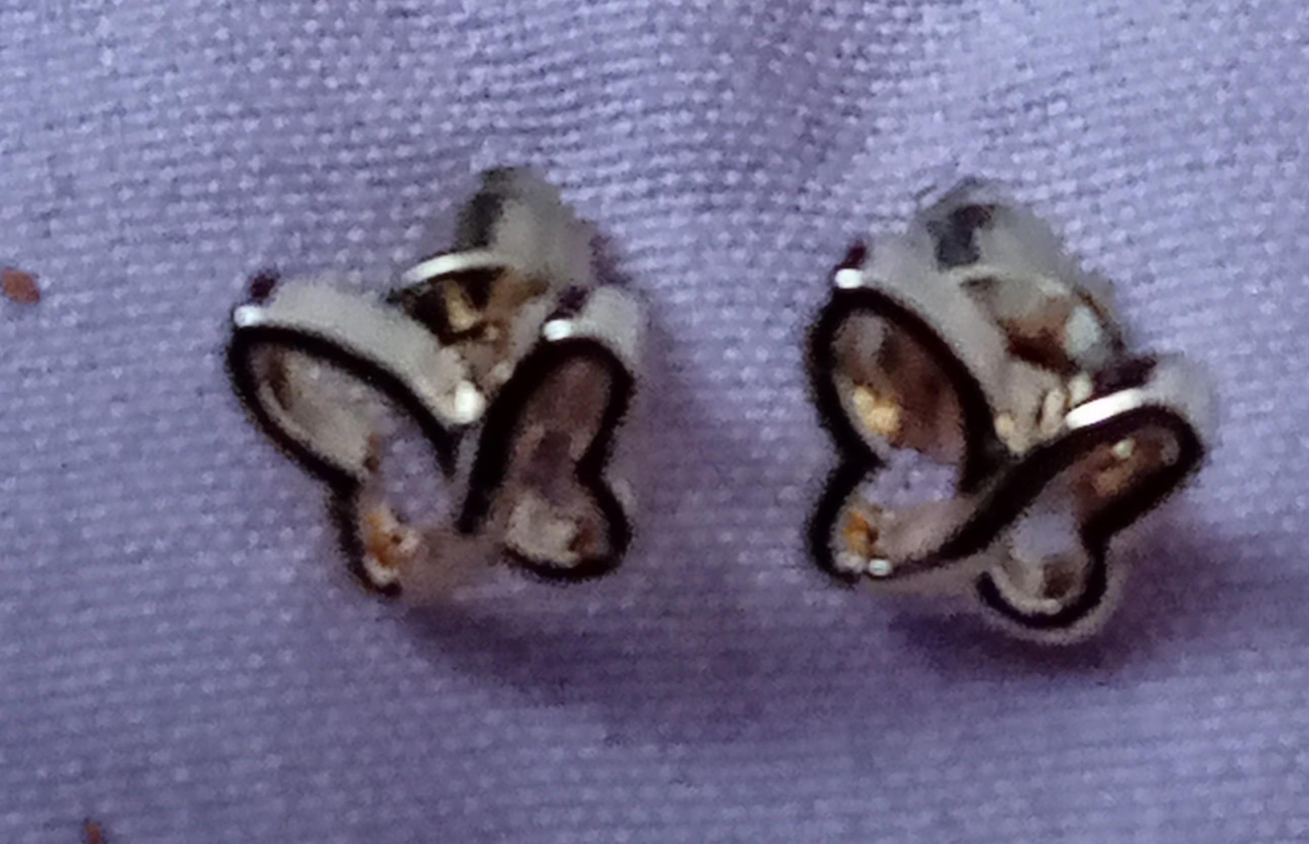 troc de troc une paire boucle d'oreille image 1