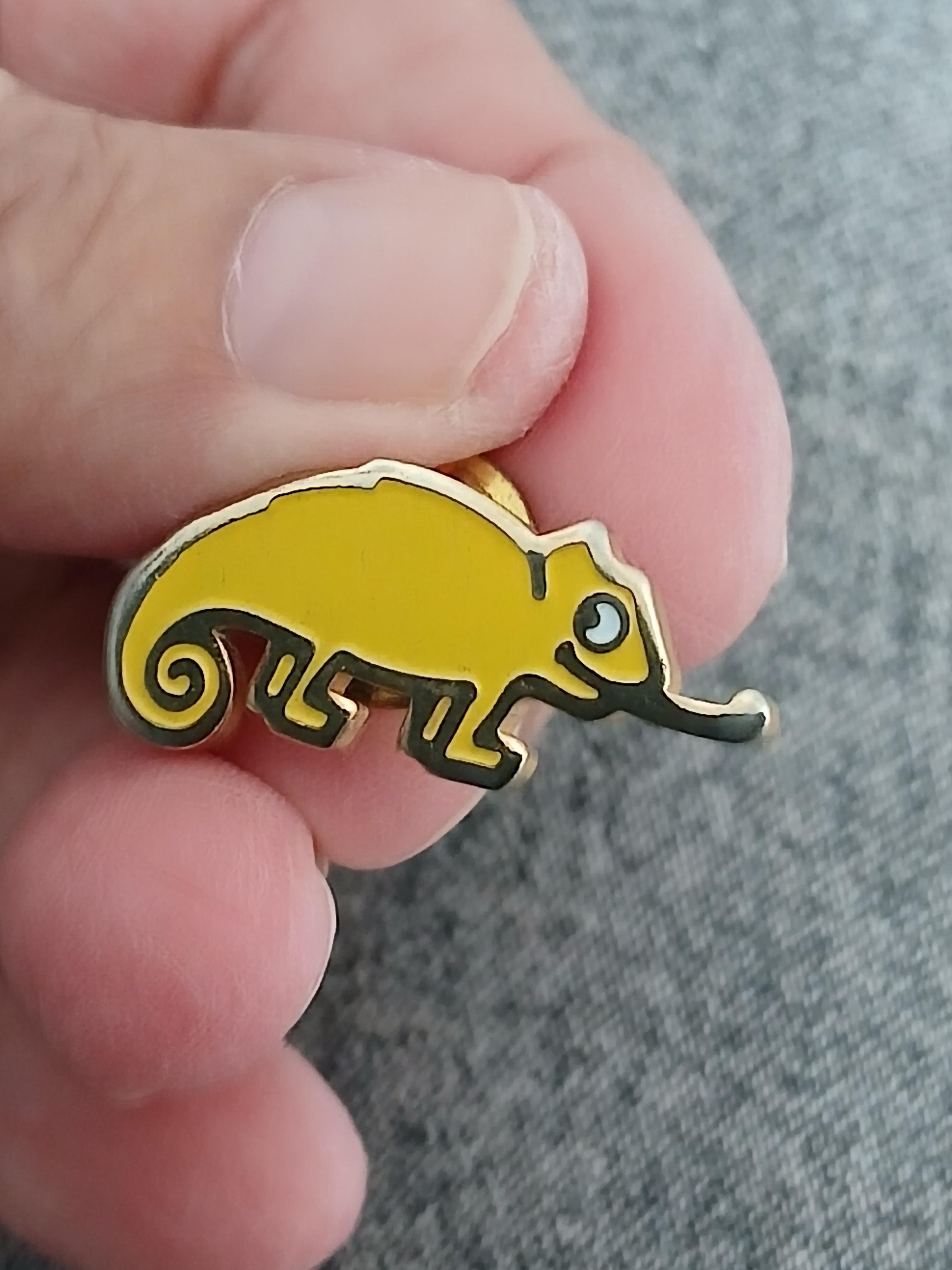 troc de troc un pins image 1