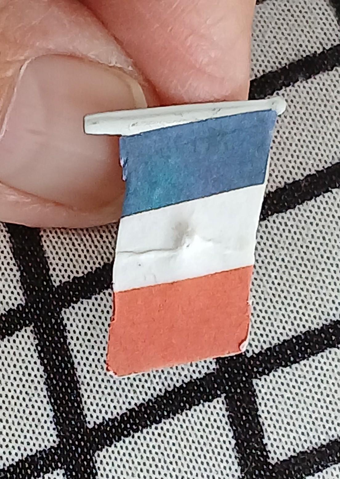 troc de troc une broche drapeau de france image 0