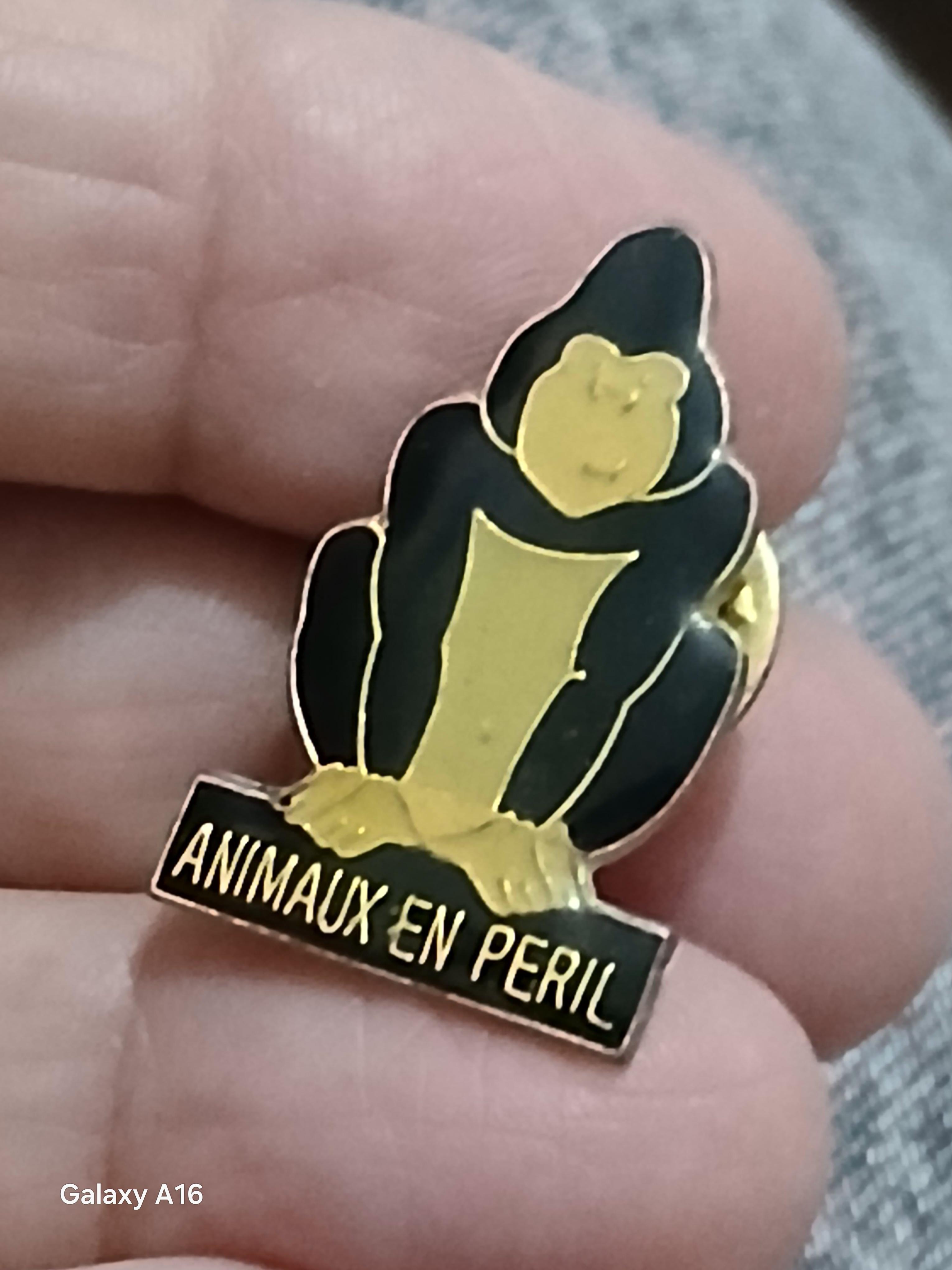 troc de troc un pins image 1