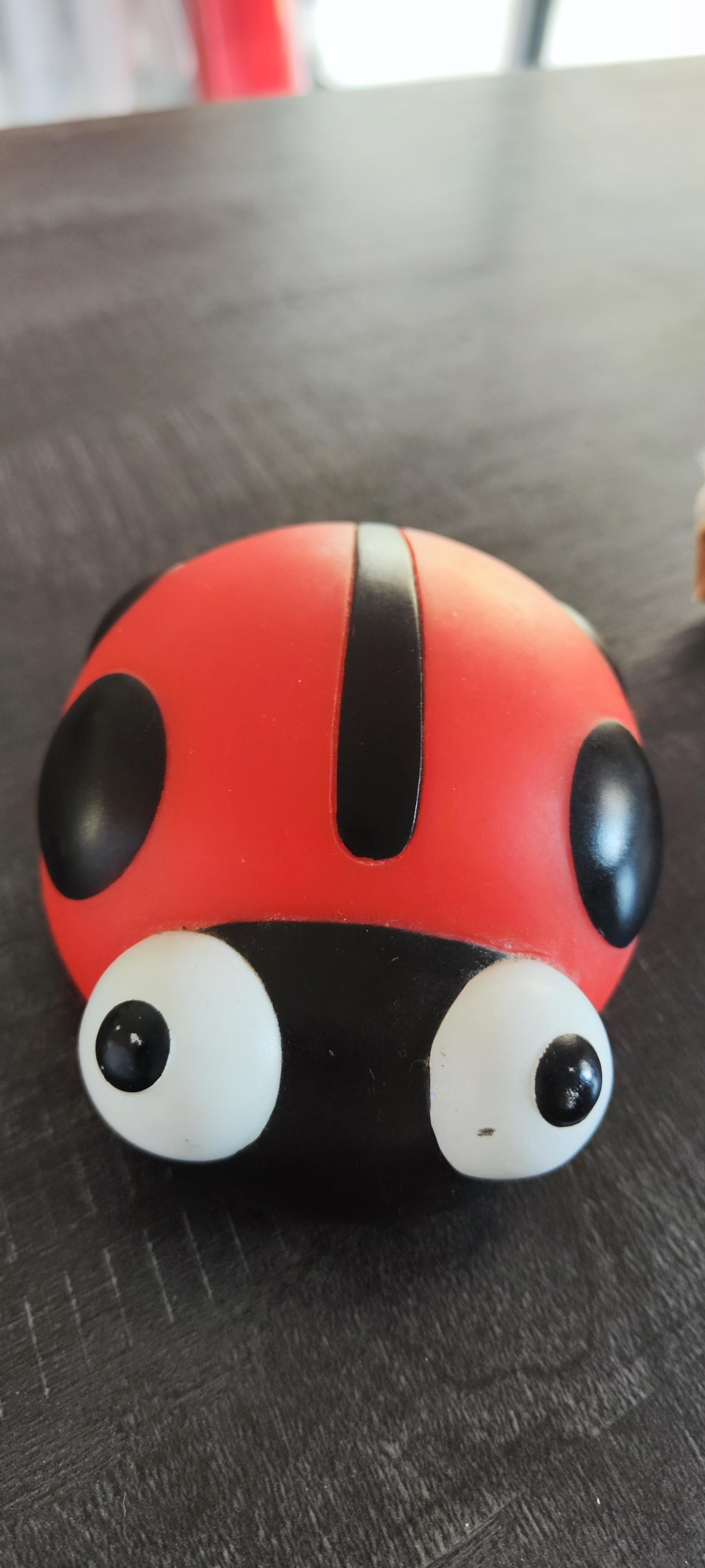 troc de troc veilleuse coccinelle image 0