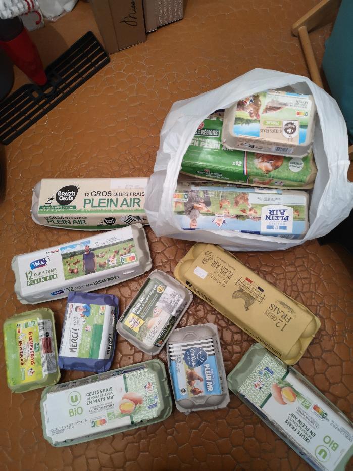 troc de troc boîtes d'oeufs vides image 0