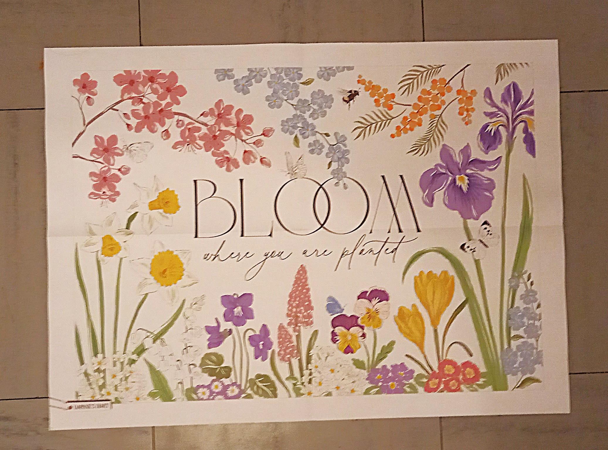 troc de troc poster "bloom where you are planted". image 0