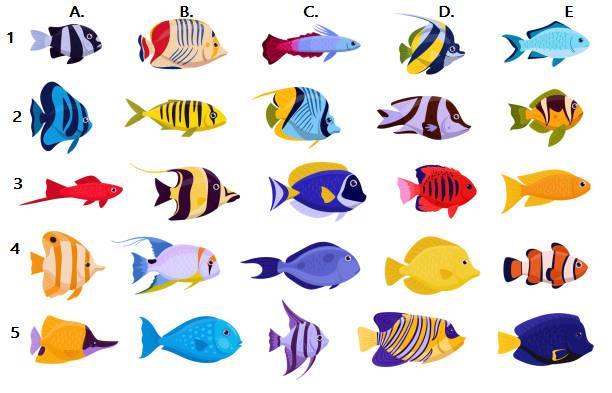 troc de troc le poisson exotique du 1er avril (jeu 24h chrono) image 0