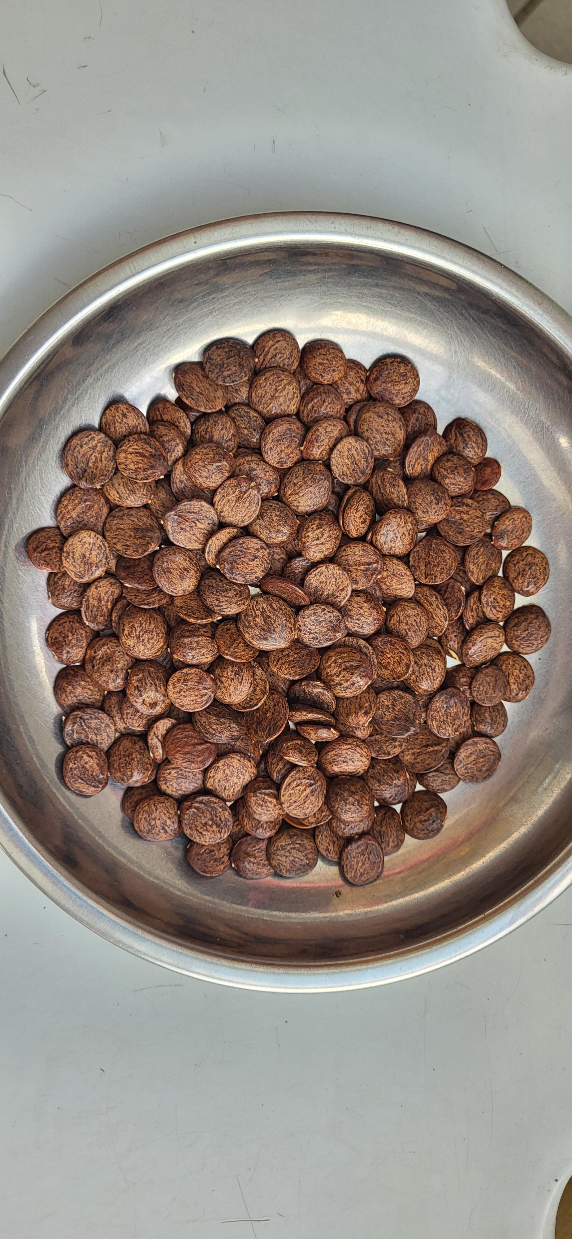 troc de troc troc graines de glycine rose pâle image 0