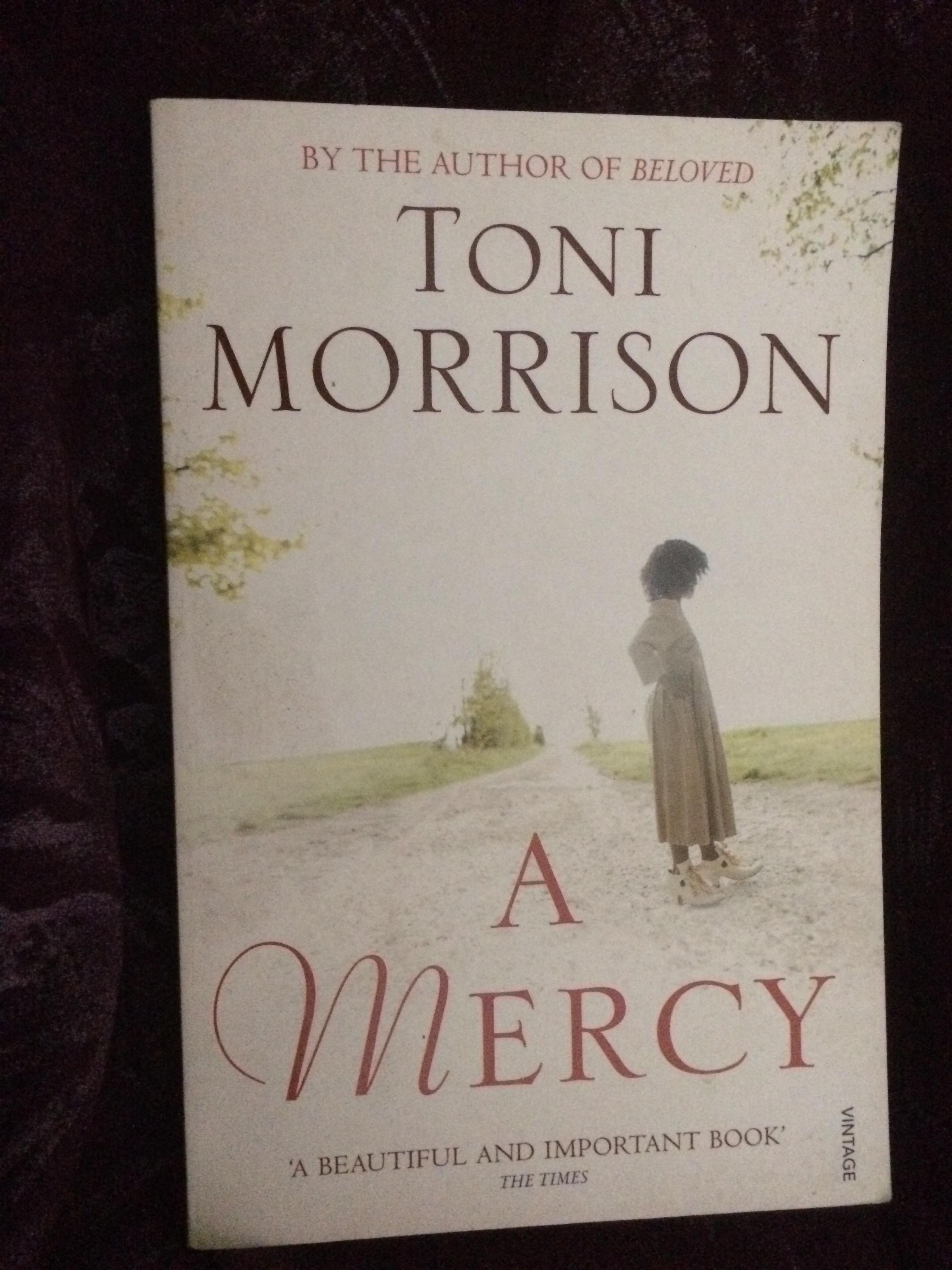 troc de troc livre en anglais /   a mercy de toni morrison image 0