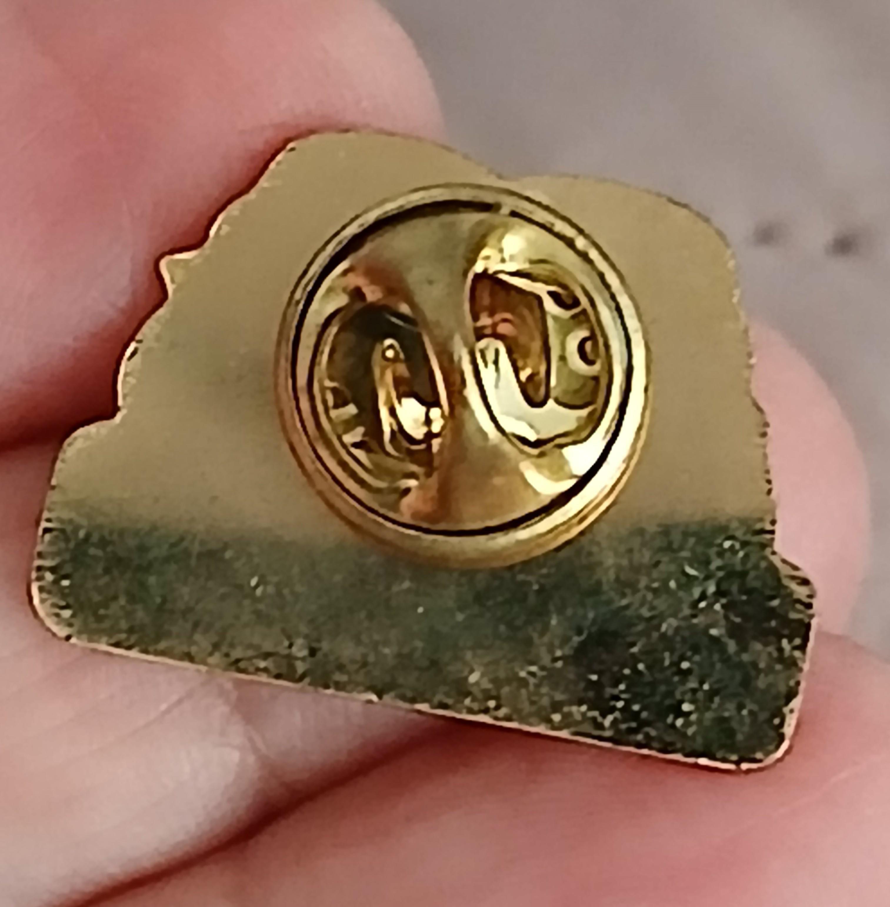 troc de troc un pins image 2