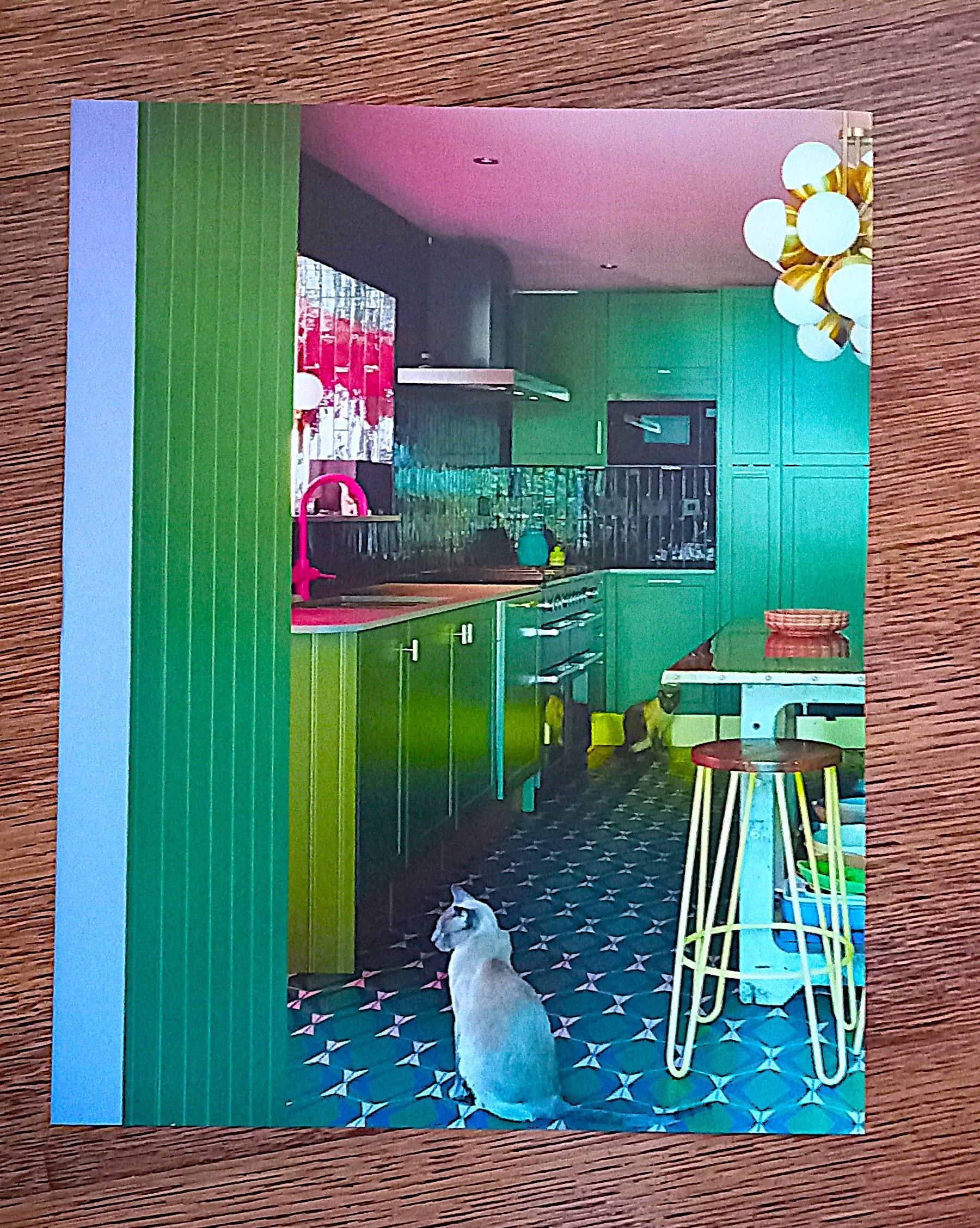 troc de troc affiche "les chats". image 0