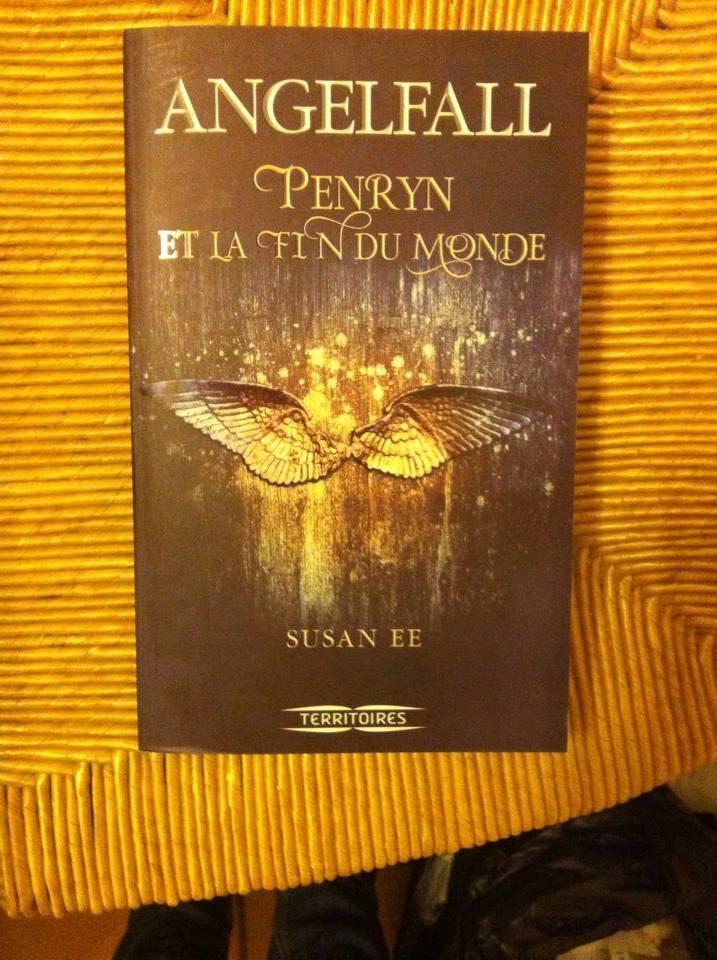troc de troc livre neuf angelfall - peyrin et la fin du monde image 0