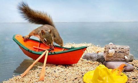 troc de troc les vacances de nutsy image 0