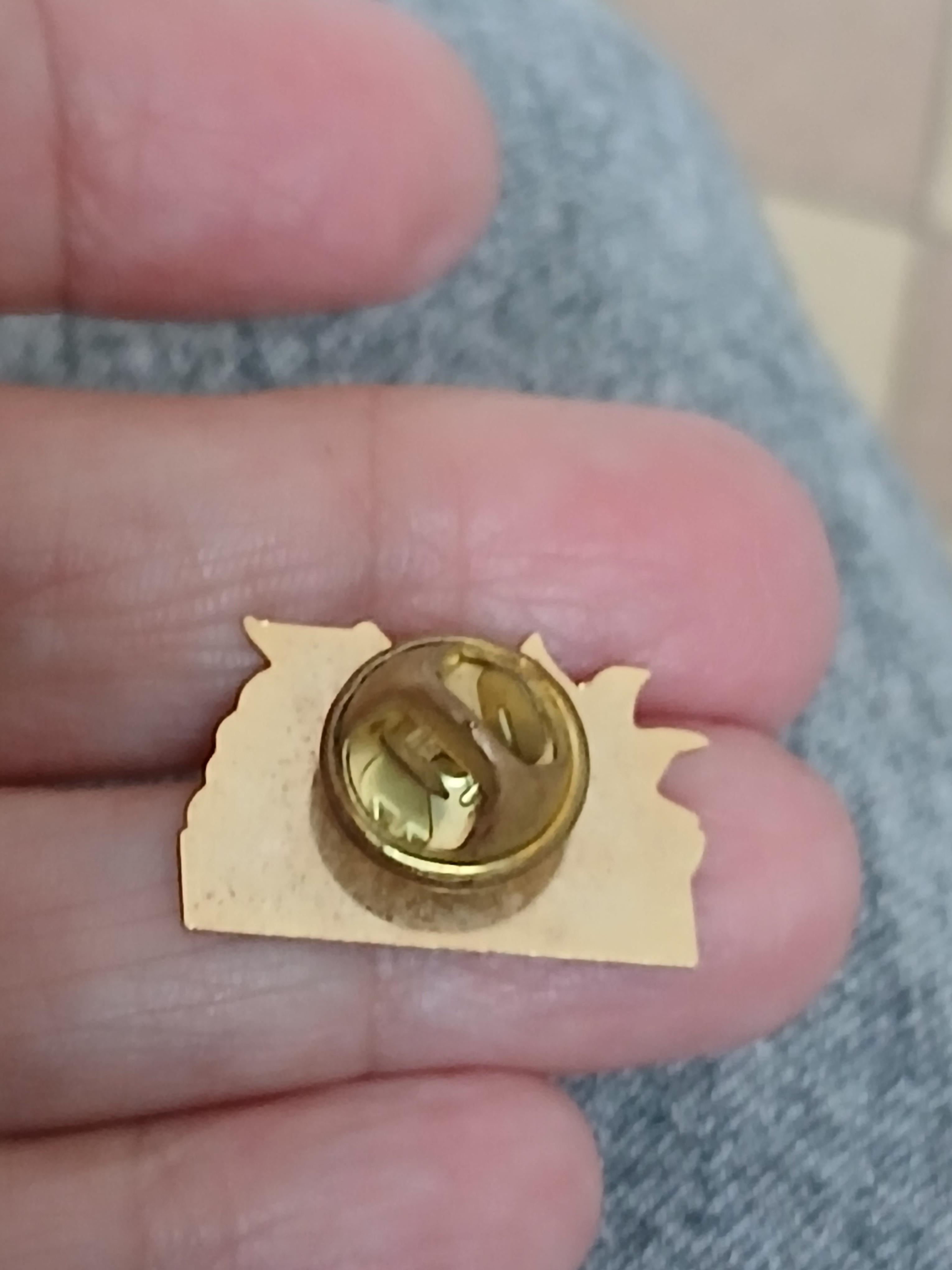 troc de troc un pins image 2