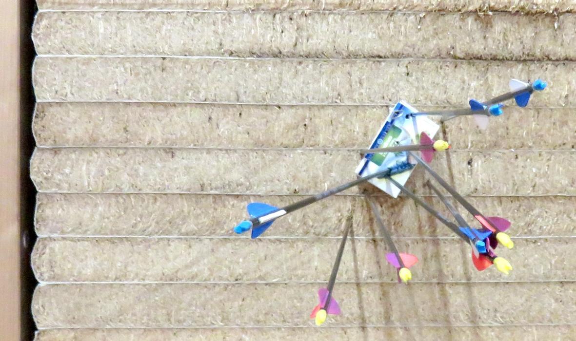 troc de troc tir à l'arc et sarbacane image 2